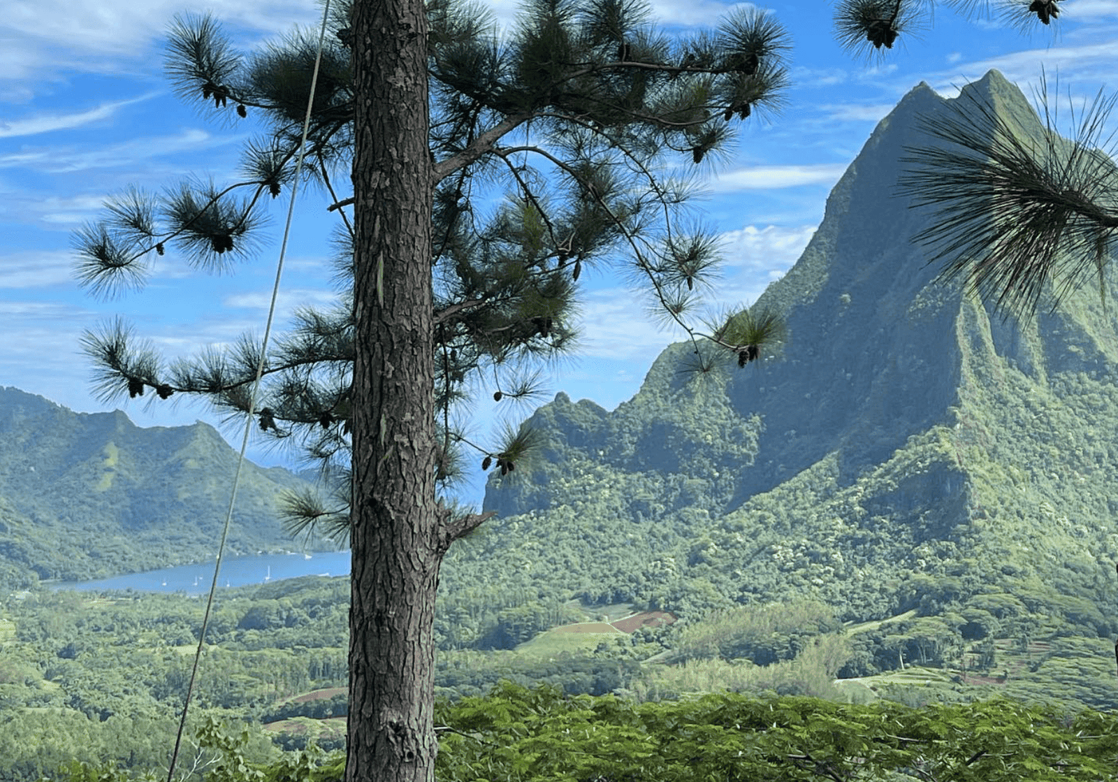 Top 23 Things To Do In Moorea in 2026 8 Three pines hike