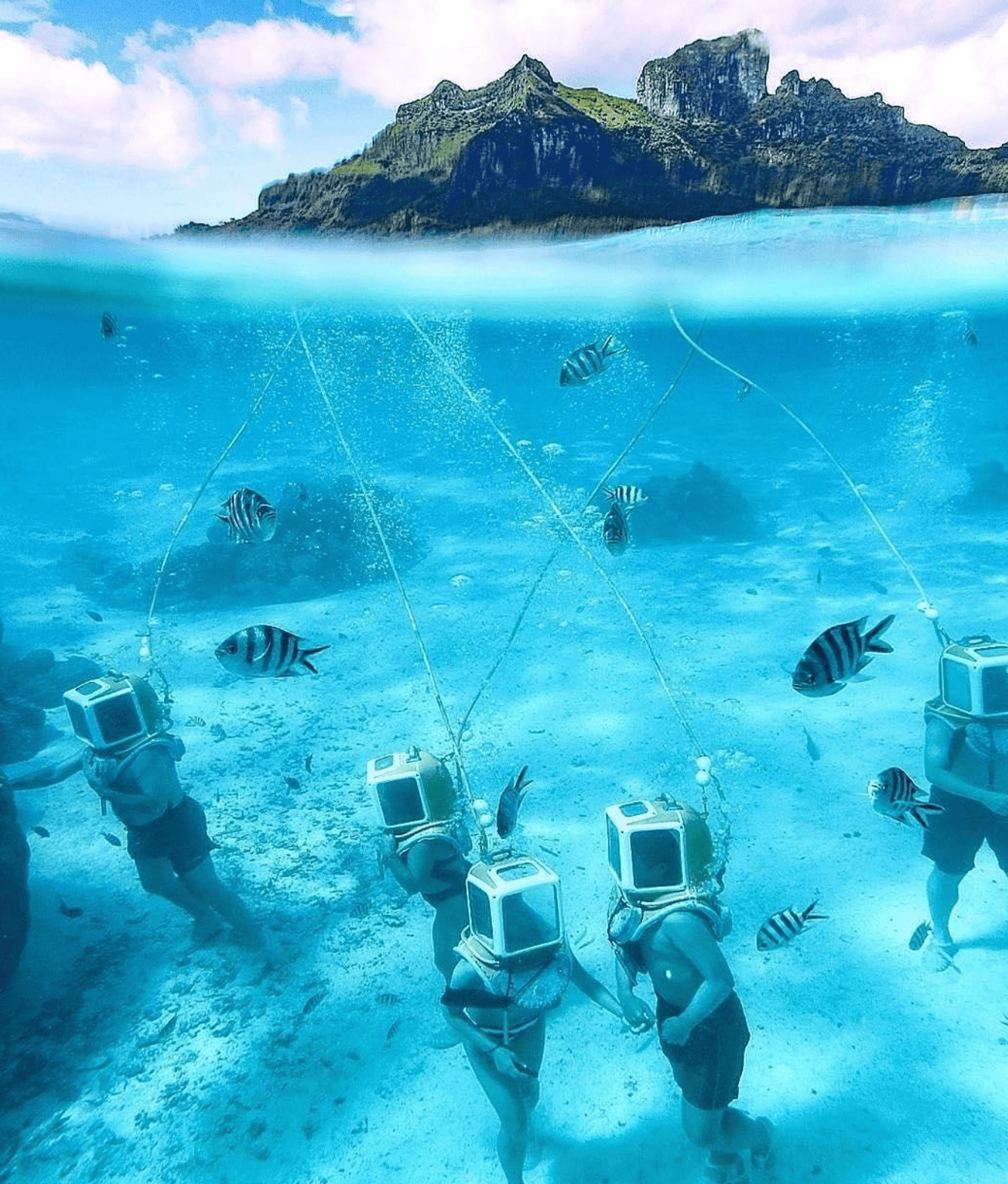 Top 23 Things To Do In Moorea in 2026 12 Helmet dive.