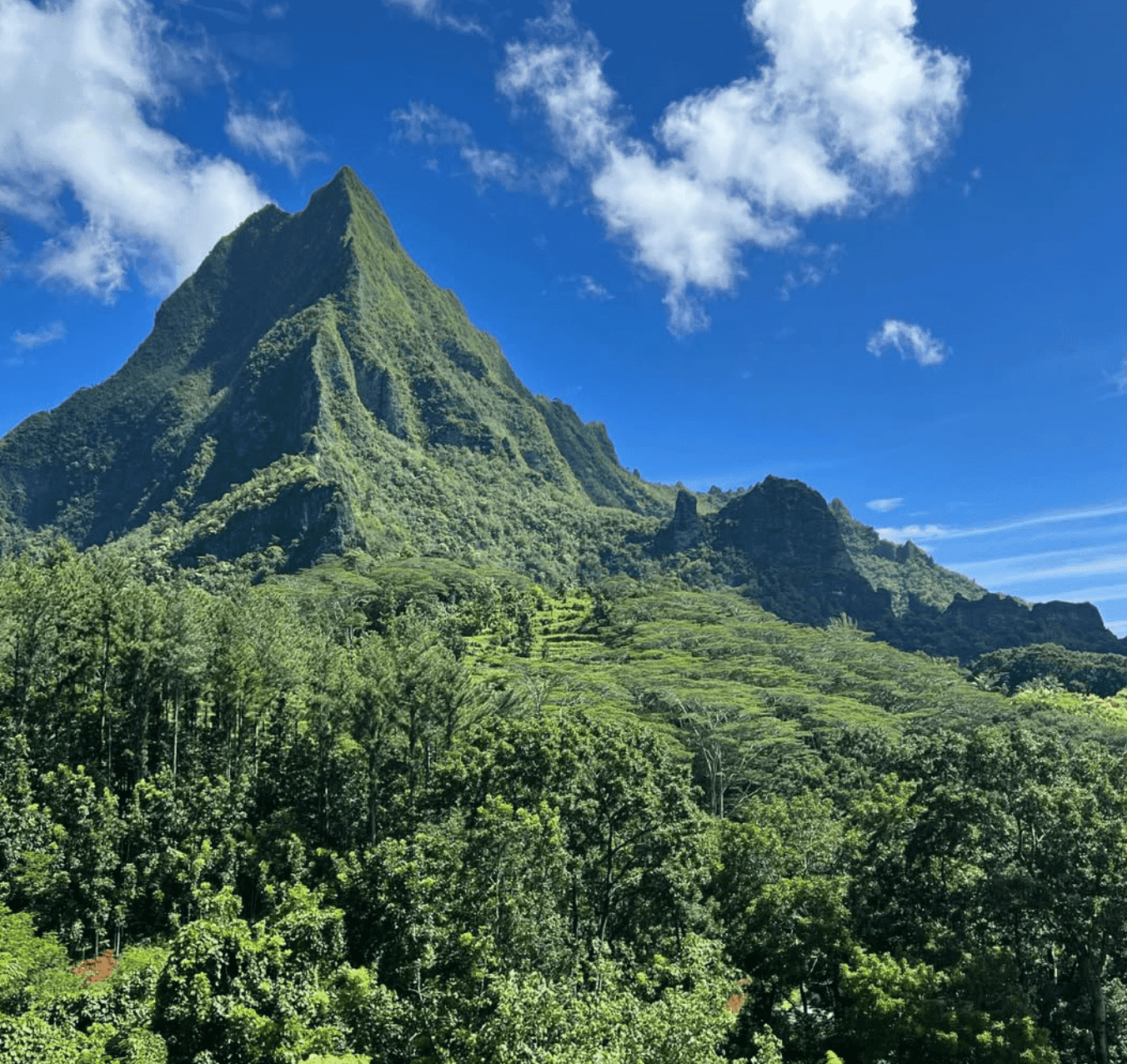 Climbing Mount Rotui (Moorea) in 2026: Full Guide 2 Mount Rotui in Moorea