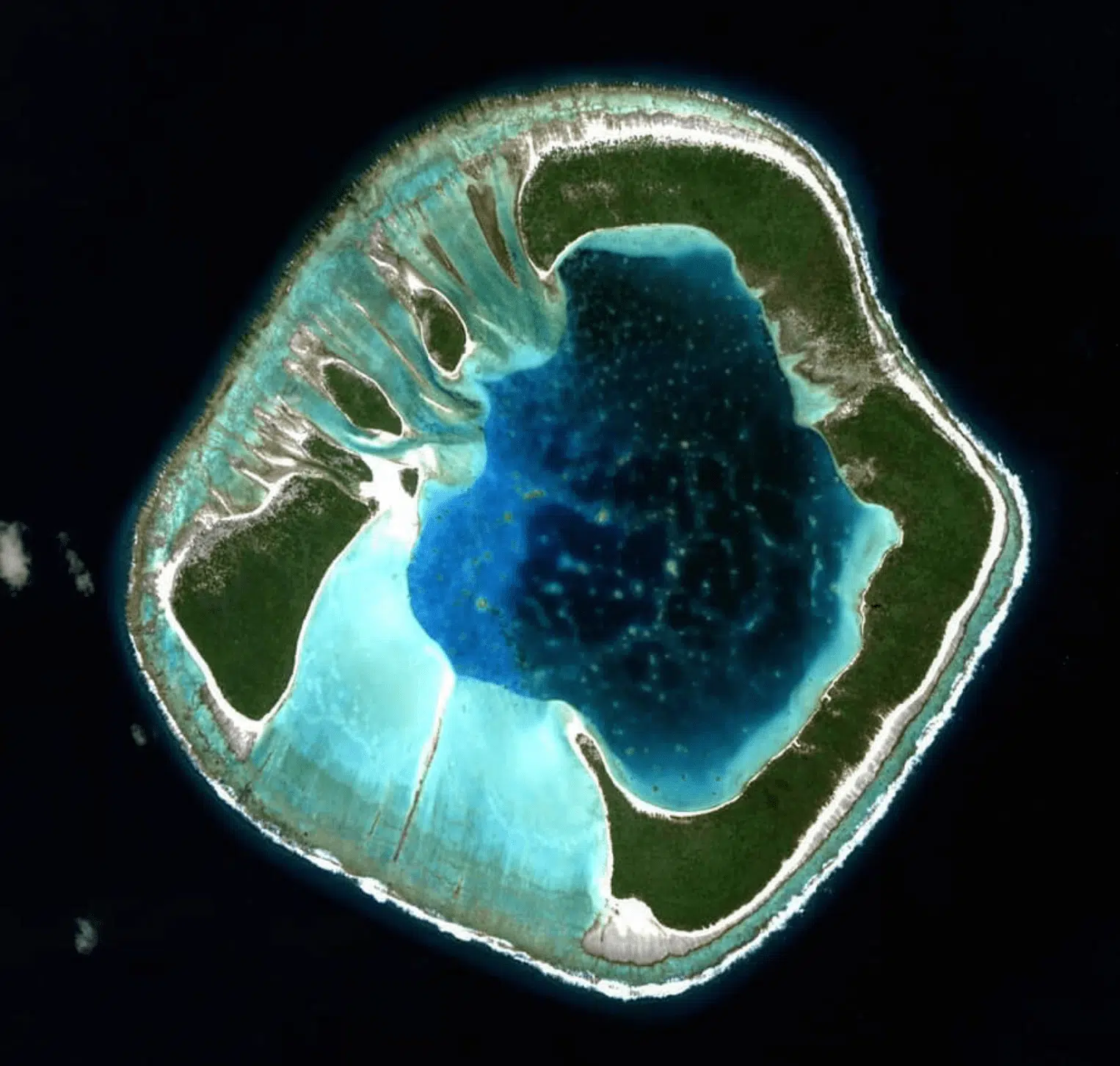 An aerial overview of Motu One