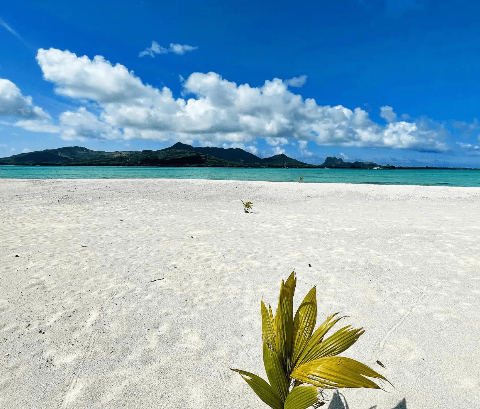 Motu One beach with a view over Maupiti