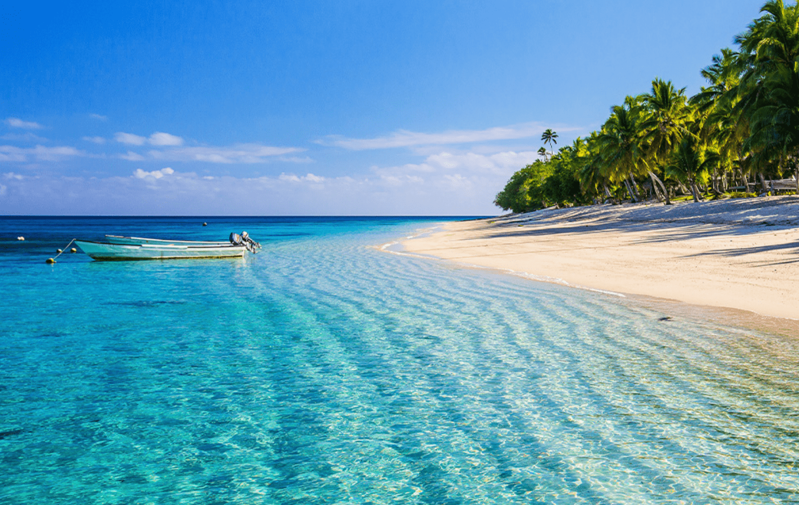 Scuba Diving in Rangiroa: What Do I Need To Know for 2026? 10 Diving in Rangiroa.