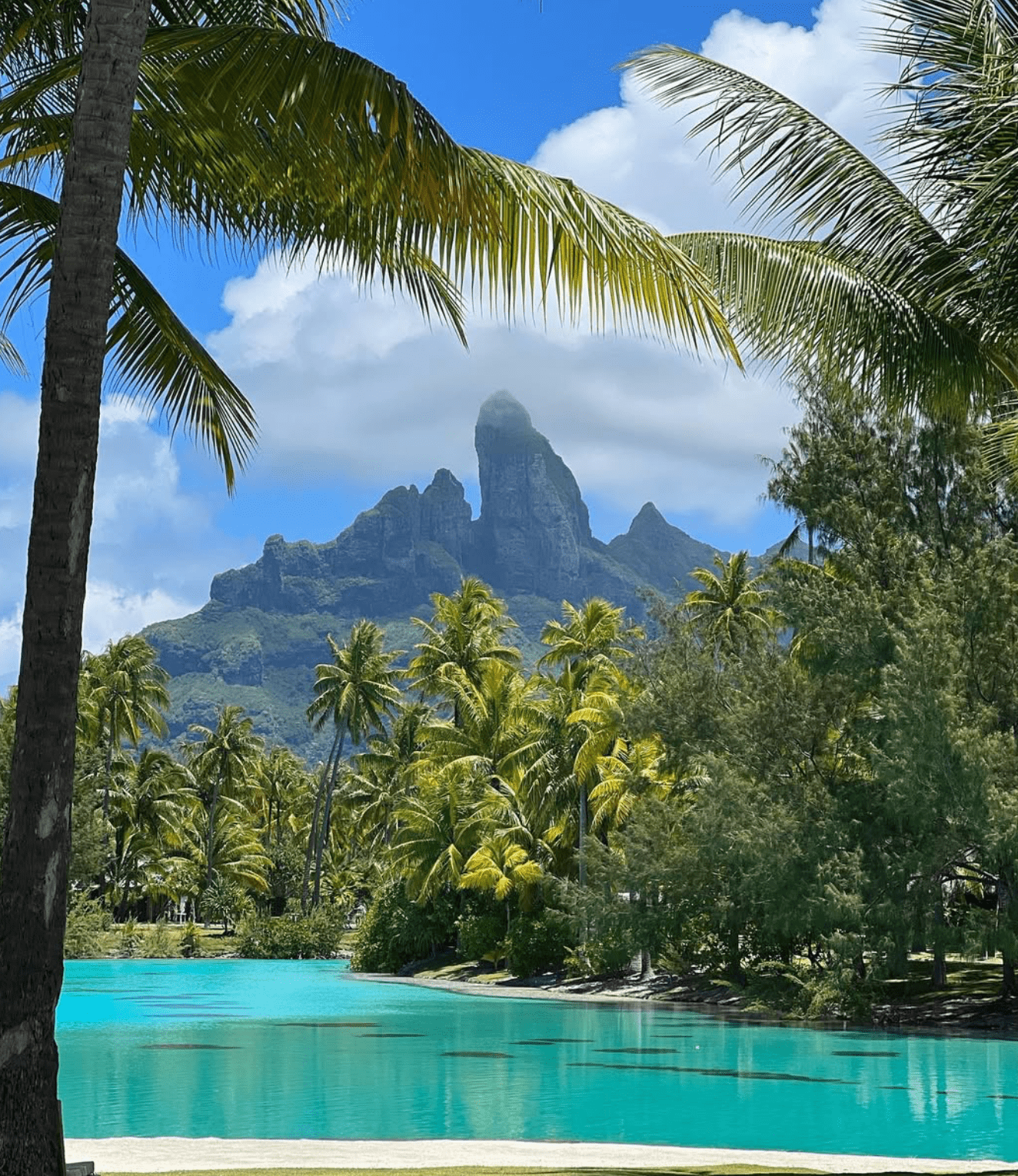 St. Regis Bora Bora Resort Review (2026 Update) 19 Bora Bora lagoonarium