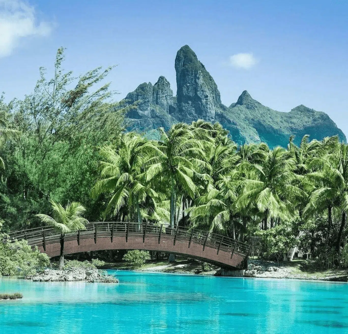 Lagoonarium. Definitely a must to go snorkeling there!