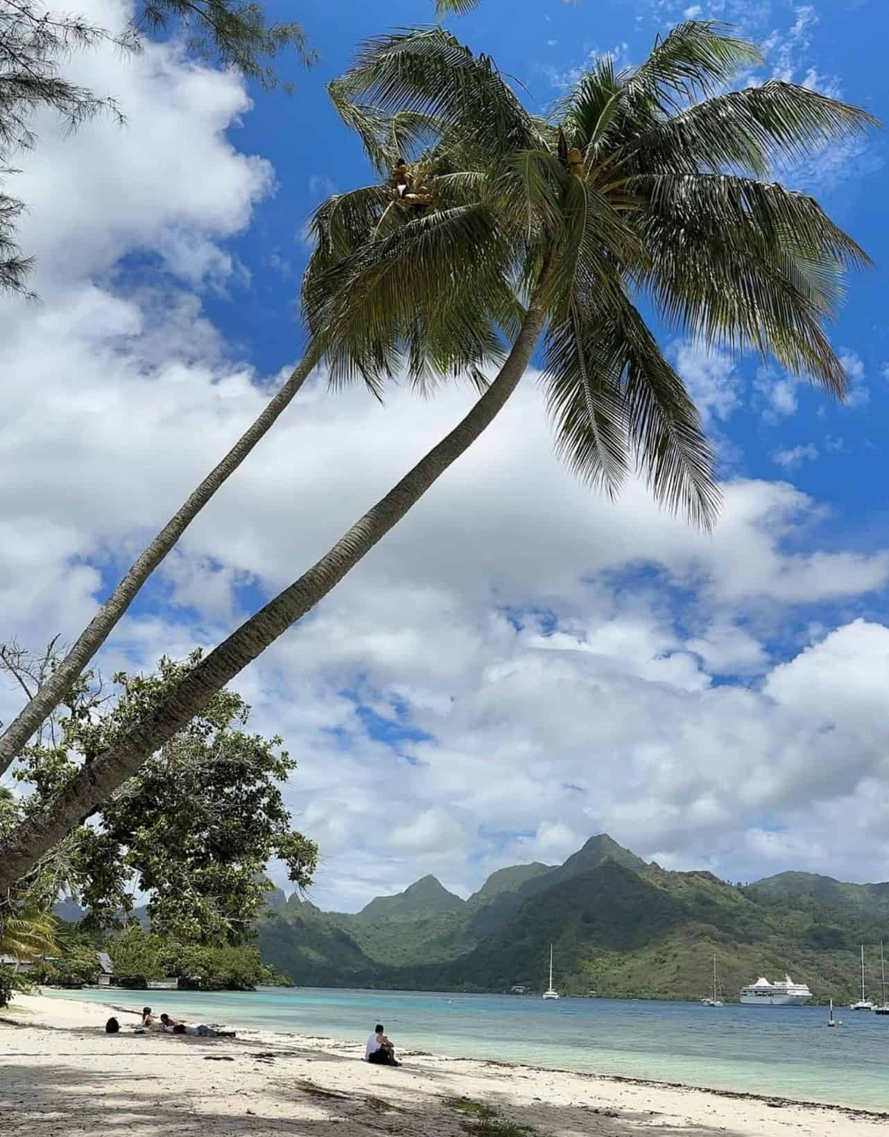 Beach in Opunohu Bay Moorea
