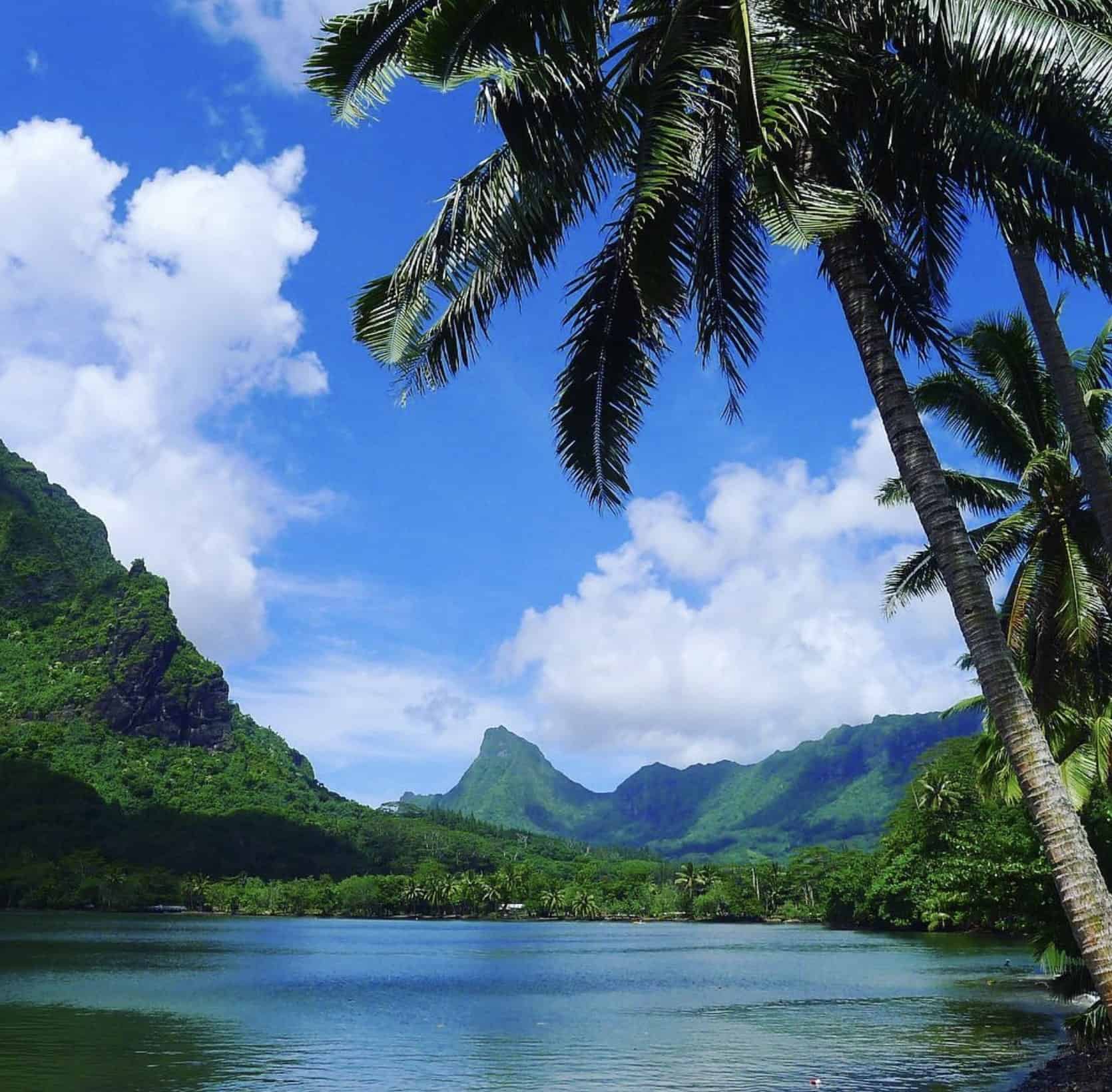 Opunohu Bay: What To Expect From A Visit? 2 Opunohu Bay Moorea