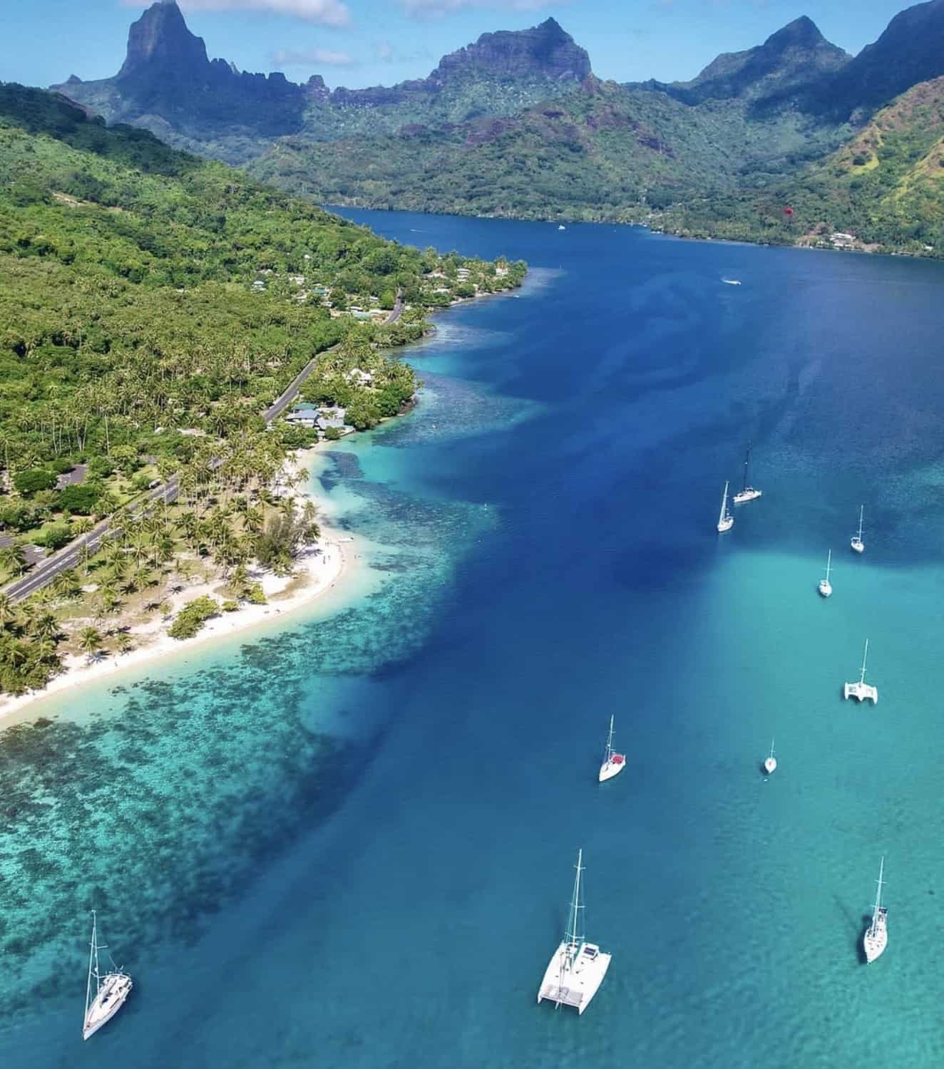 Opunohu Bay: What To Expect From A Visit? 4 Turquoise waters in Opunohu Bay Moorea