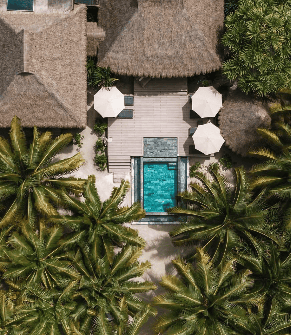 What To Expect From Tetiaroa: The Marlon Brando Island? 10 The Brando Resort.