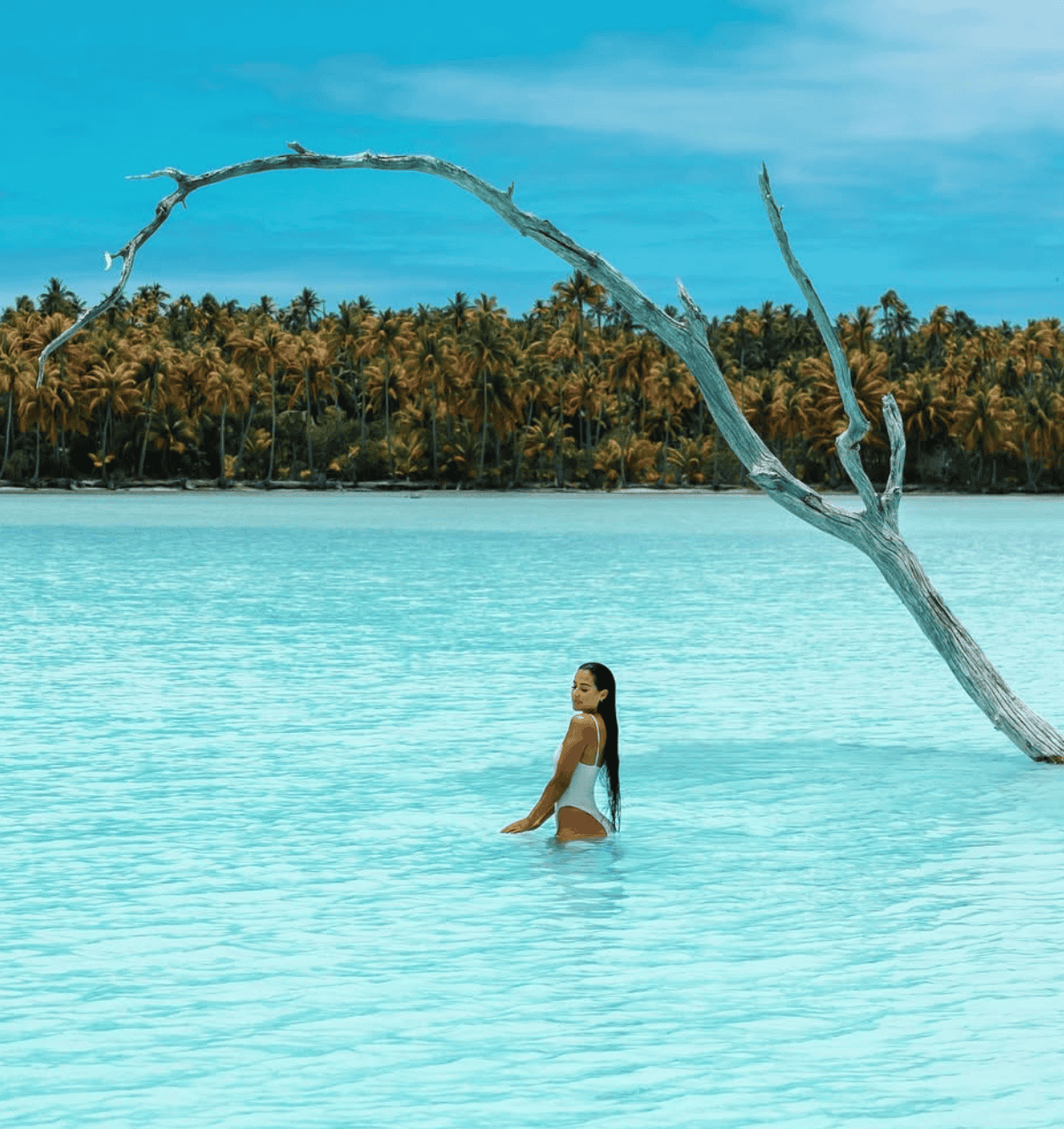 What To Expect From Tetiaroa: The Marlon Brando Island? 13 Brando Island.