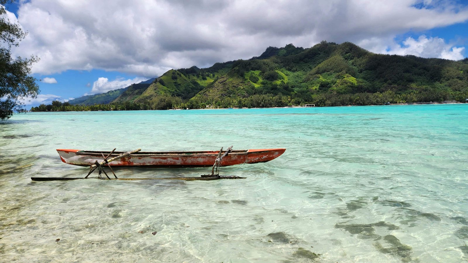 Diving in Moorea: Top 11 Spots to Visit in 2026 4 Moorea island