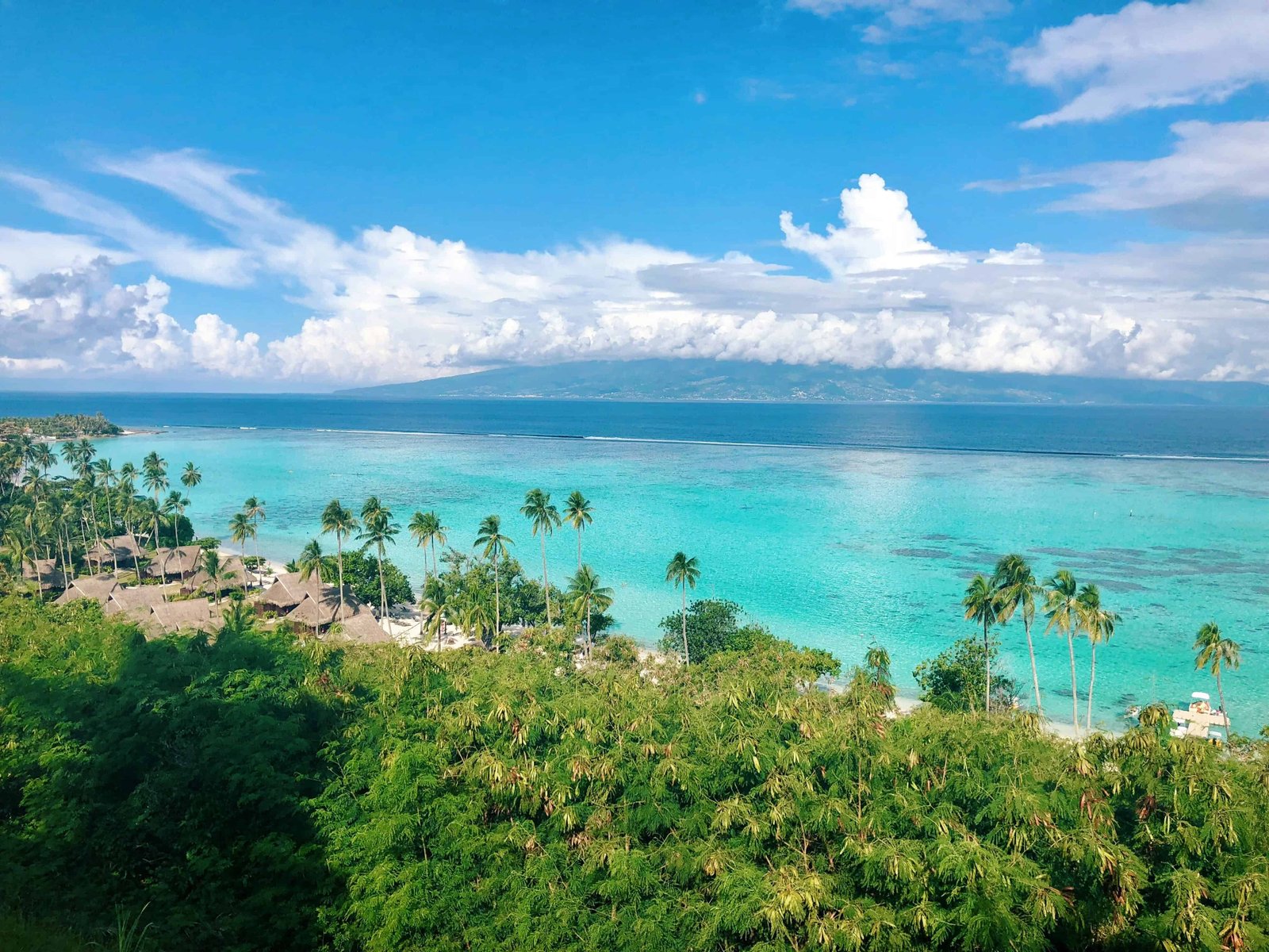 Top 23 Things To Do In Moorea in 2026 19