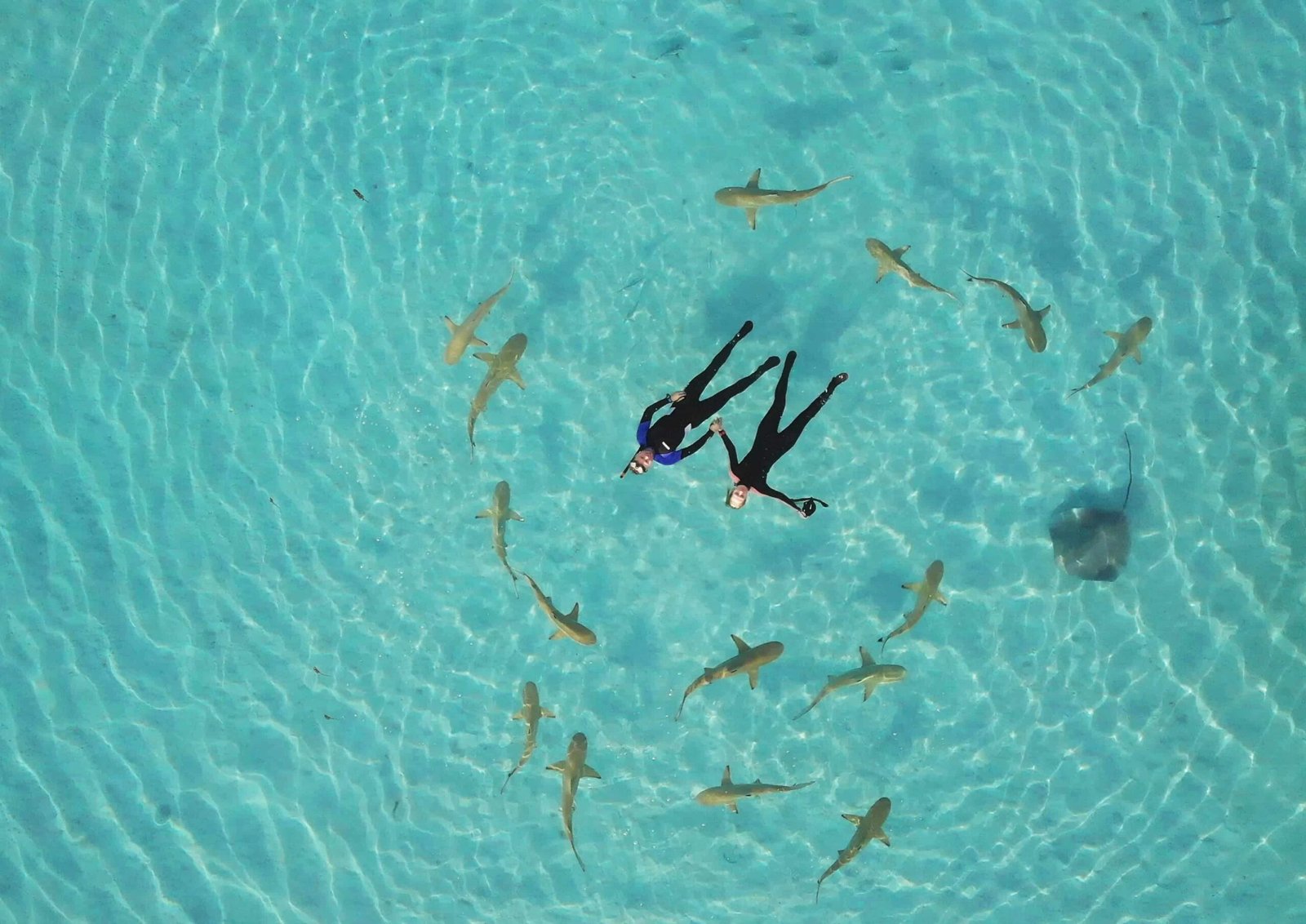 Diving in Moorea: Top 11 Spots to Visit in 2026 1 Diving in Moorea. The locations are highlighted in the Moorea French Polynesia map
