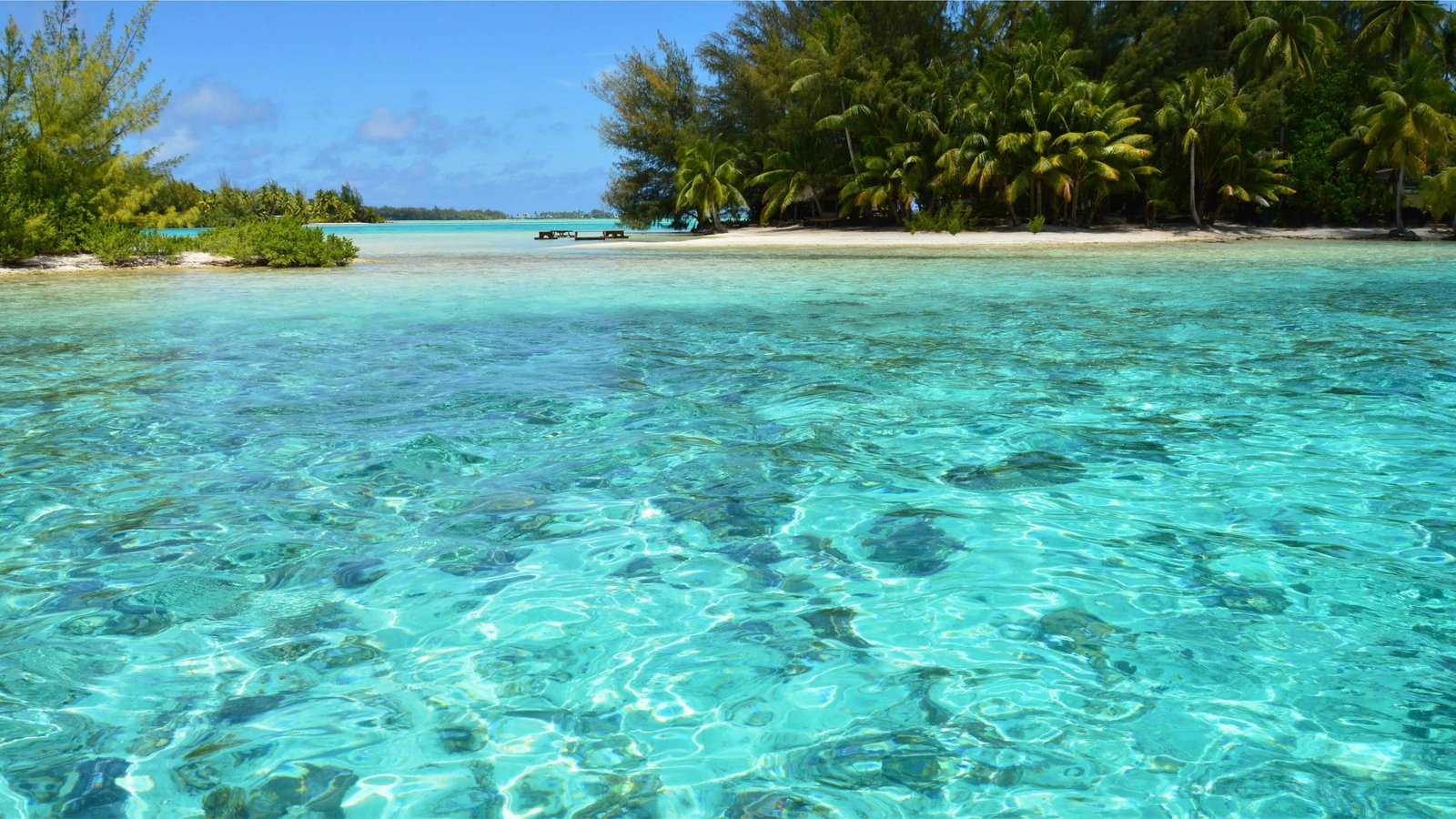 Traveling To French Polynesia: 26 Things You Must Know! 9 Bora Bora turquoise lagoon with palm trees and beach