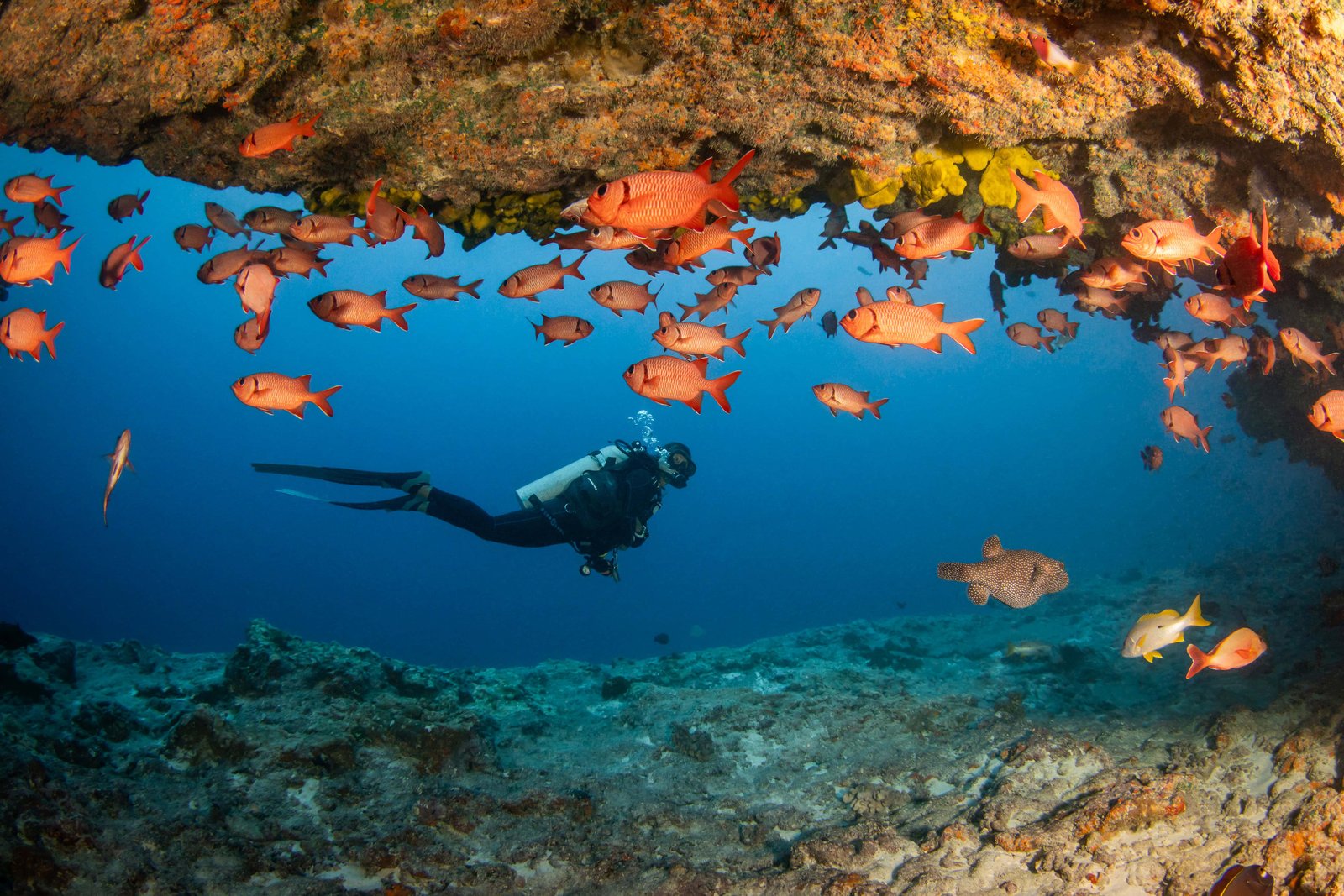 Tahiti: 37 Things You NEED to know (with MAP)! 8 Person diving between rocks