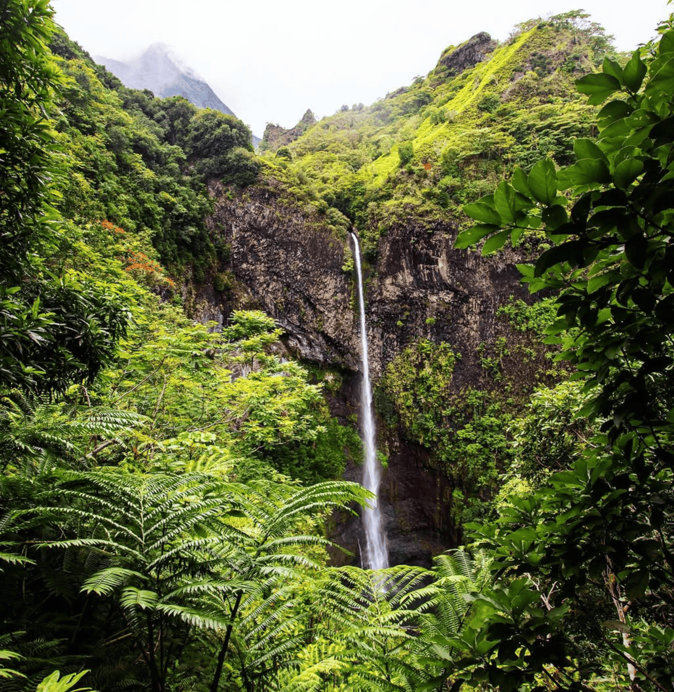 What are the 7 Best Tahiti Waterfalls for 2026? 3 Fautaua Valley Waterfall