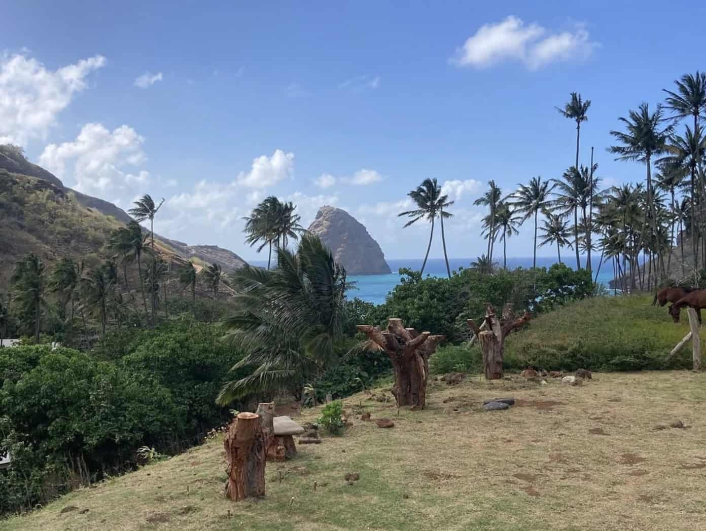 Discover Ua Huka: The Volcanic Island (with itinerary)! 4 A landscape with palm trees and a body of water