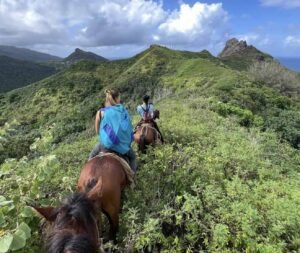 Discover Ua Huka: The Volcanic Island (with itinerary)!