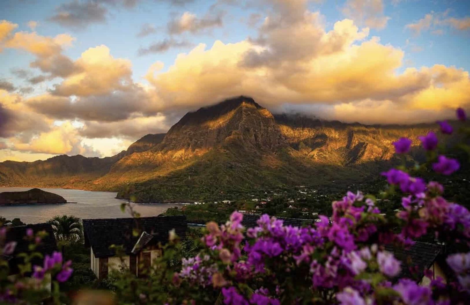 Why Visit Hiva Oa Island (TOP Things to do + Itinerary)! 11 purple flowers next to a mountain on Hiva Oa