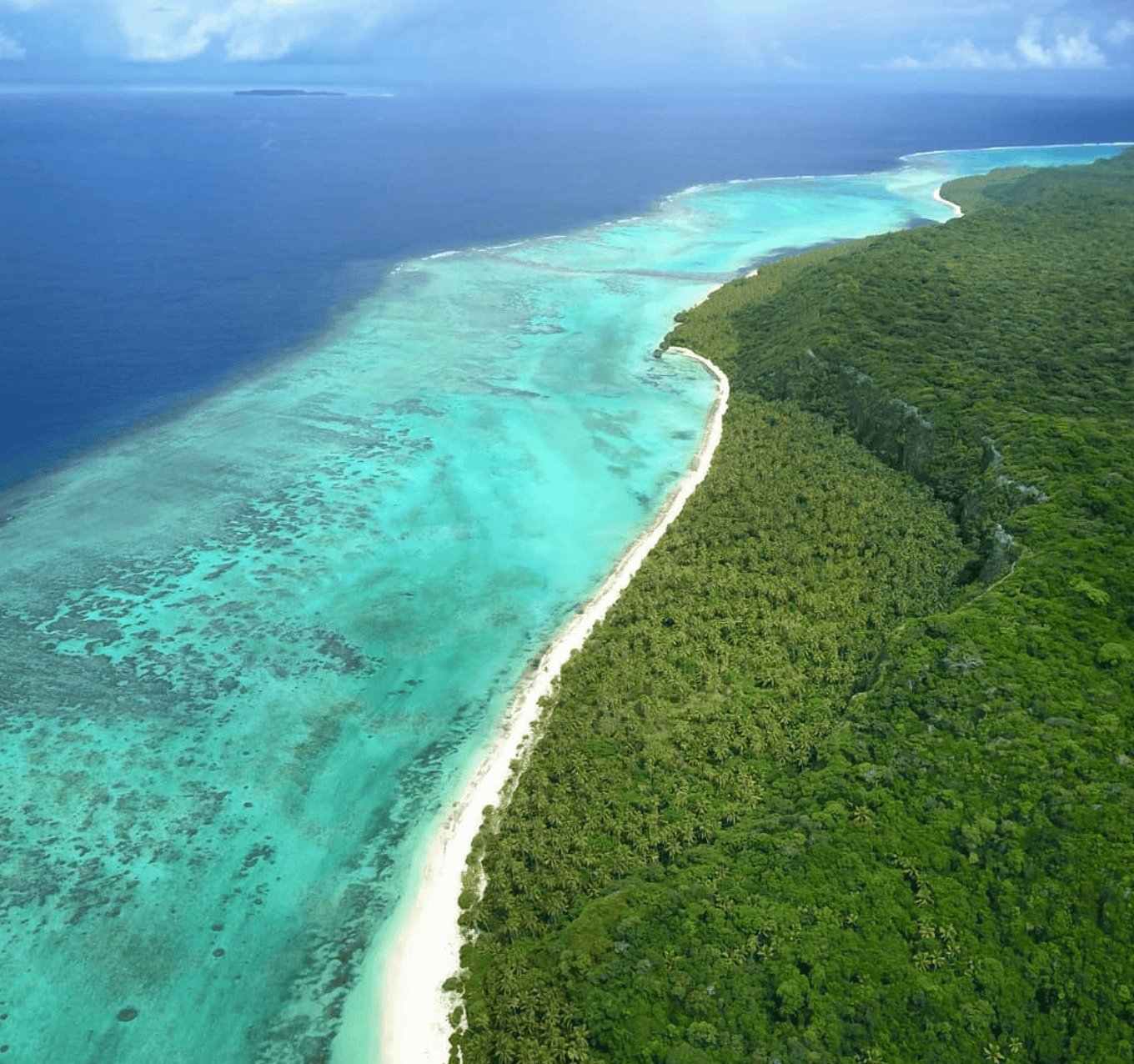 Makatea Island: The Complete Travel Guide (With Map)! 2 Makatea island with a beach with trees and blue water