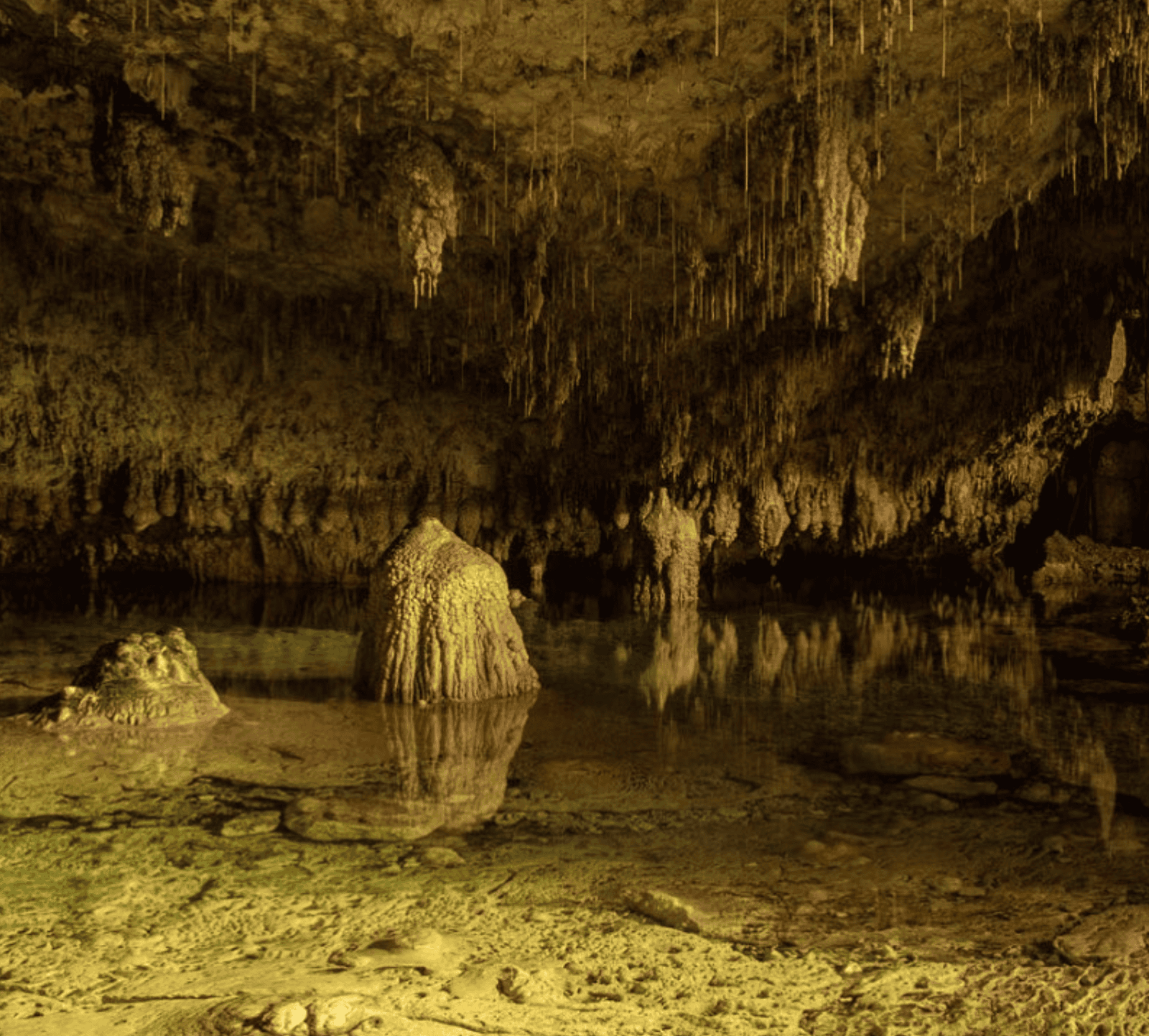 Makatea Island: The Complete Travel Guide (With Map)! 14 a cave with water and stalactites