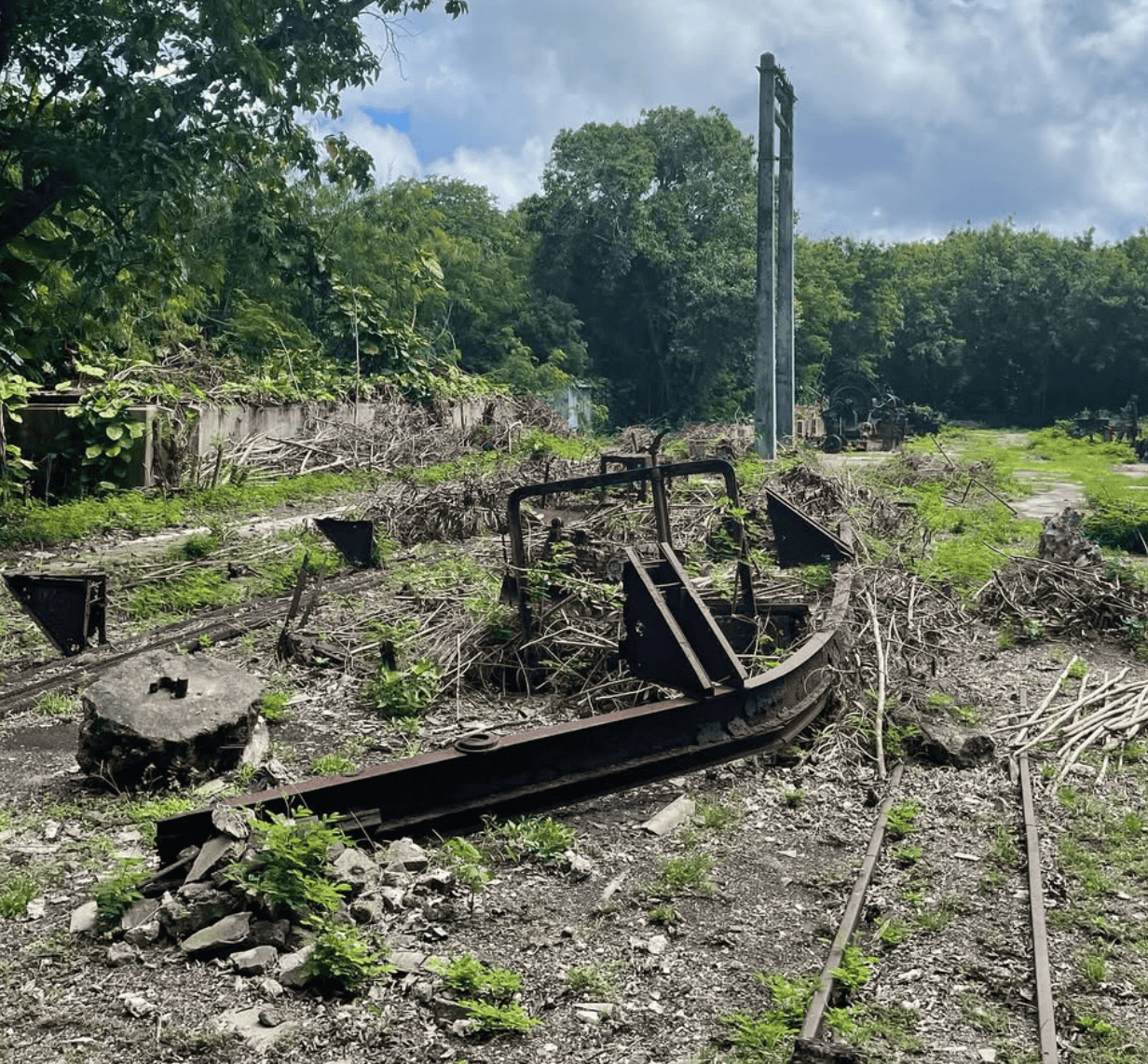 Makatea Island: The Complete Travel Guide (With Map)! 16 The trainline in a field with trees and a power pole