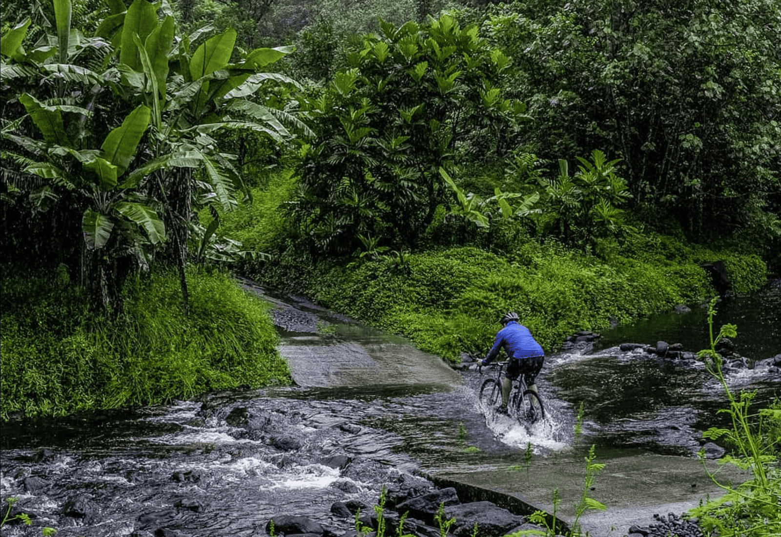 Papenoo Valley Waterfalls: Guide to a 4WD Tour! 6 Papenoo Valley bridge to cross over.
