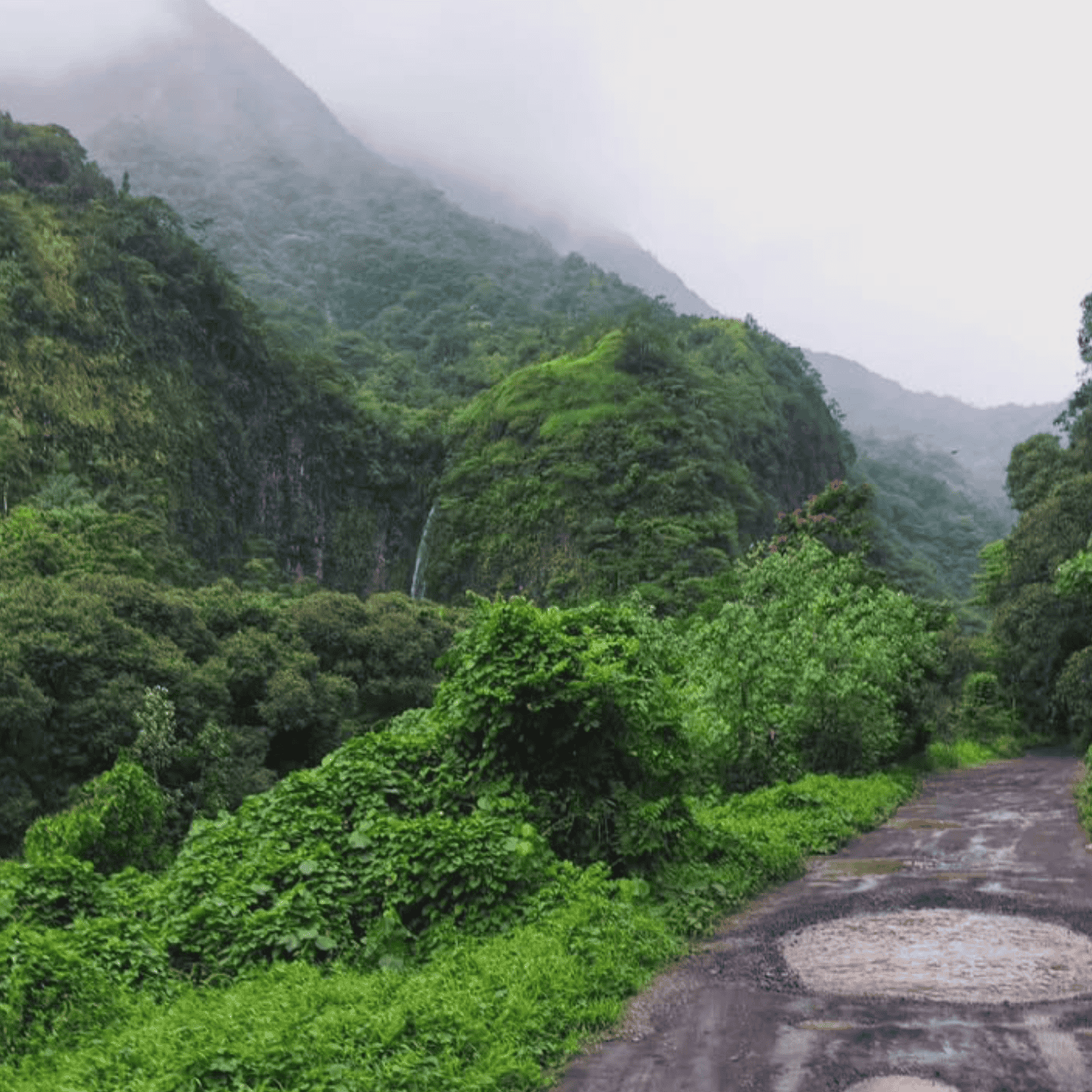 Papenoo Valley Waterfalls: Guide to a 4WD Tour! 5 WD Tour at Papenoo Valley.