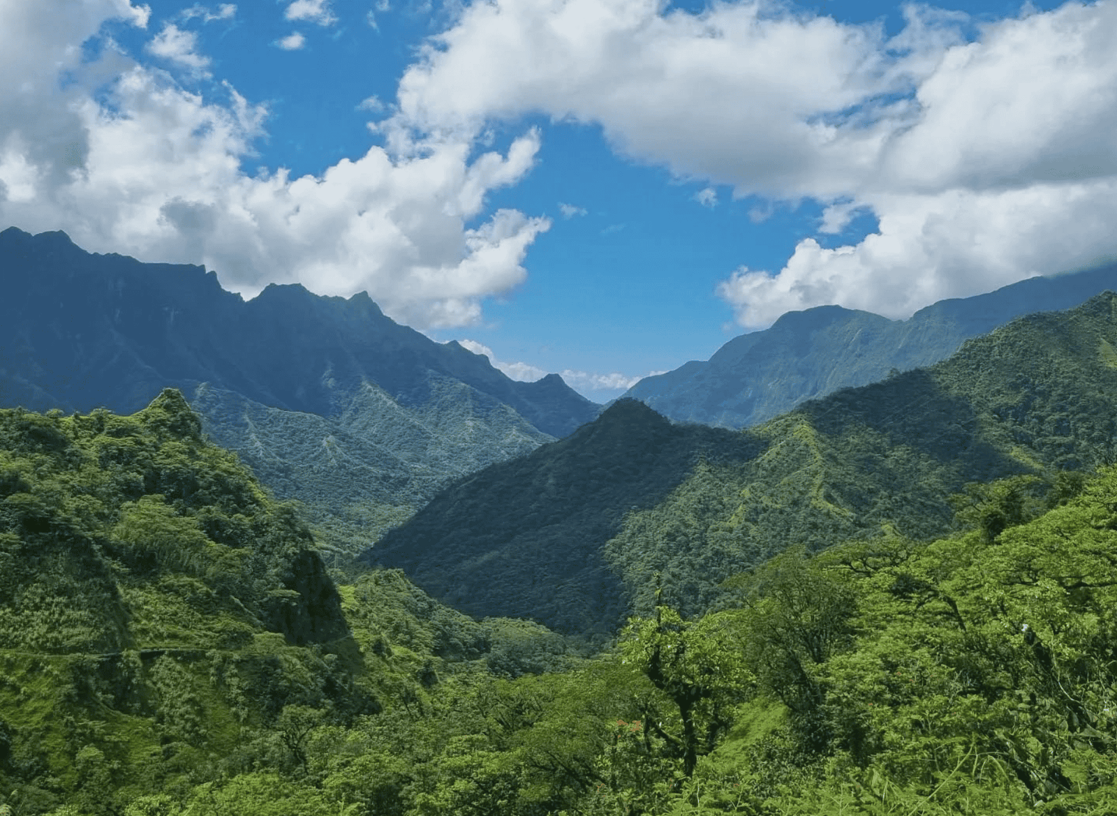 Papenoo Valley Waterfalls: Guide to a 4WD Tour! 1 Papenoo Valley in Tahiti