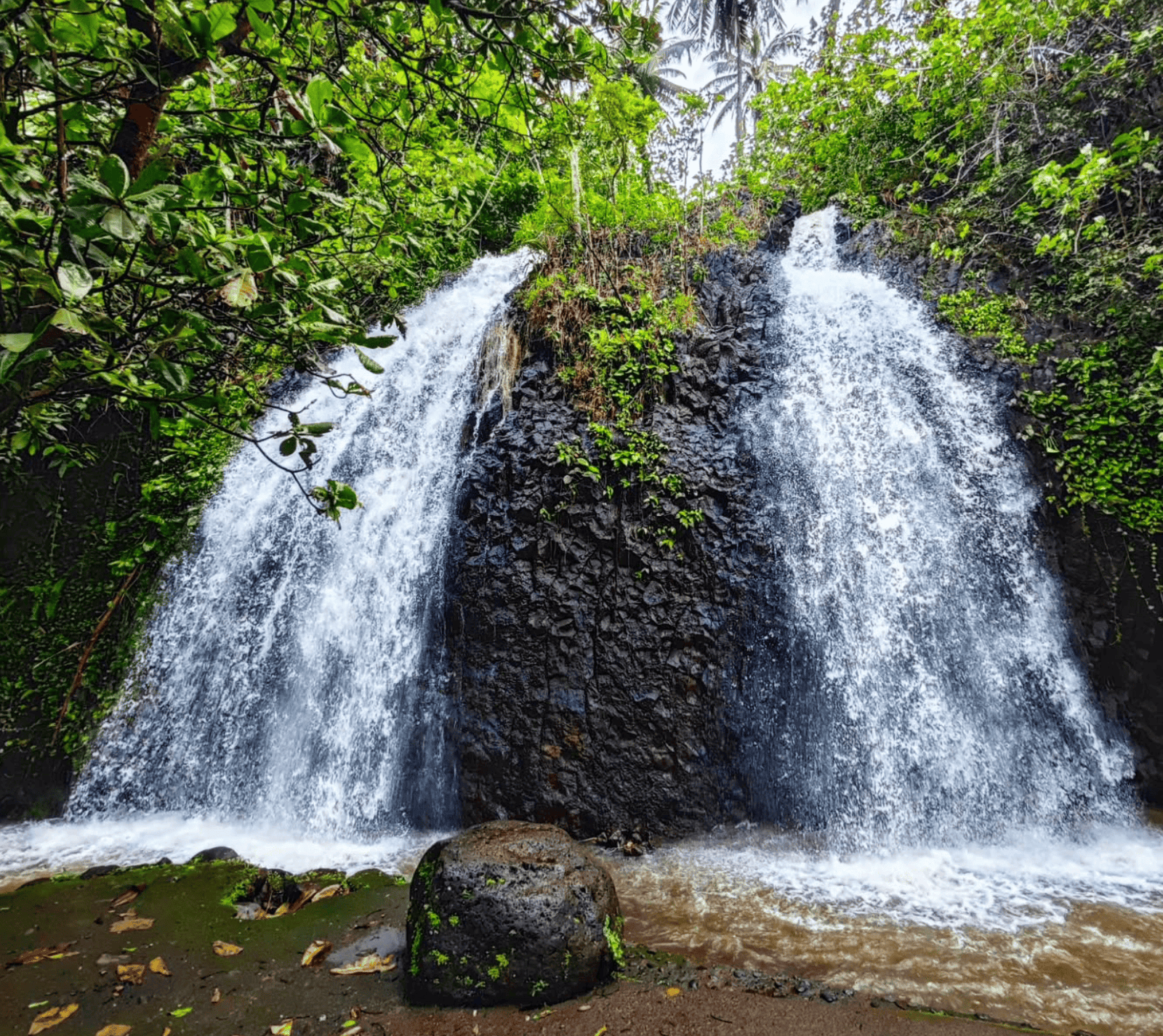 What are the 7 Best Tahiti Waterfalls for 2026? 5 Vaihi Waterfalls