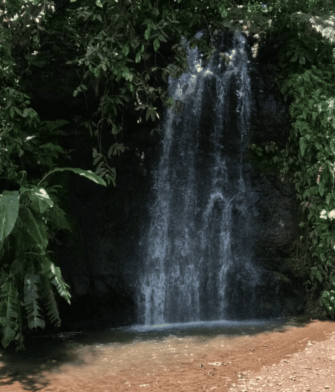 What are the 7 Best Tahiti Waterfalls for 2026? 6 Vaipahi Fall