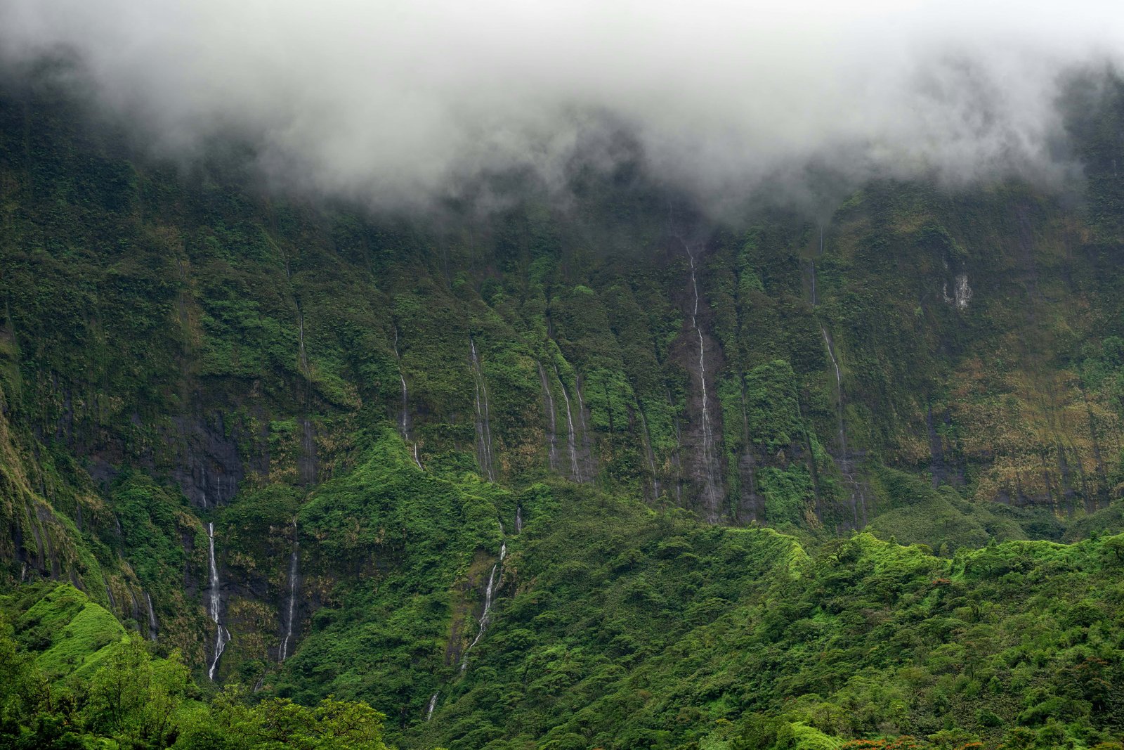 Hiking in Tahiti: What Are The Best Trails For 2026? 3 Tahiti island rugged nature