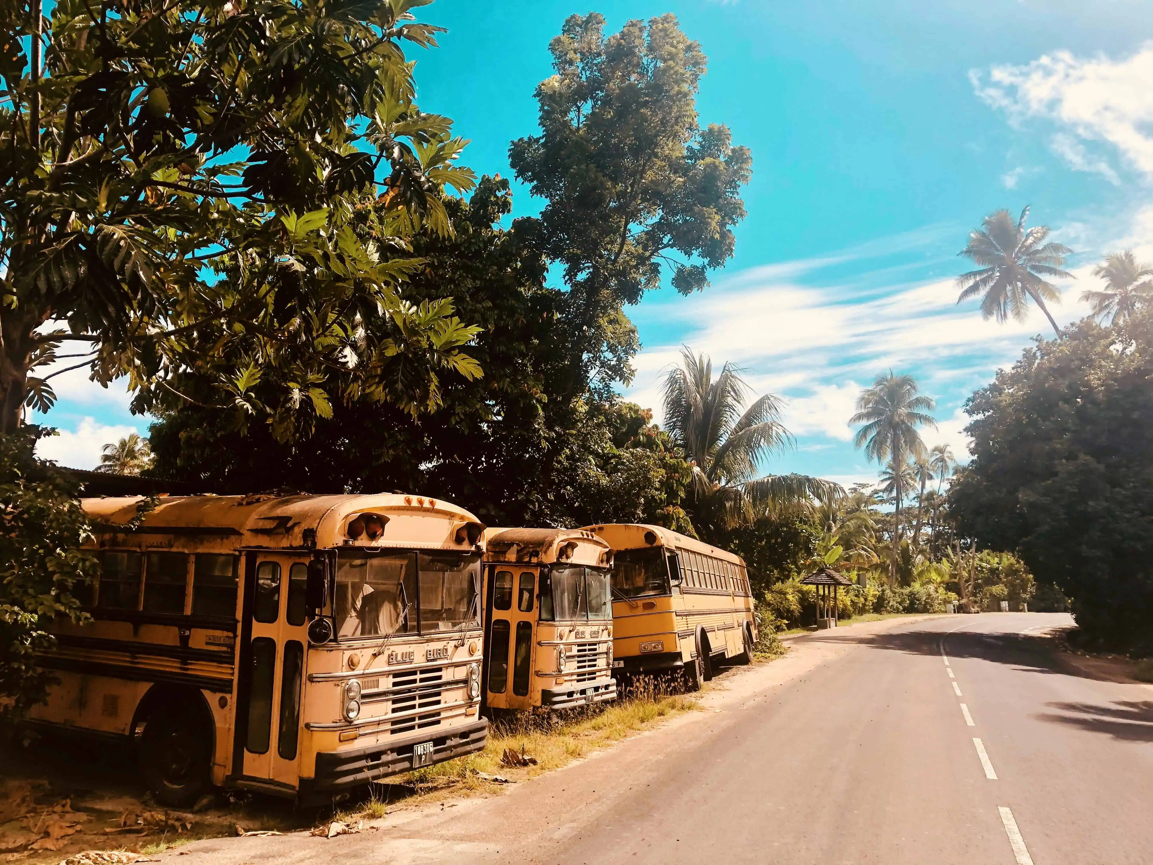 Old buses in Tahiti