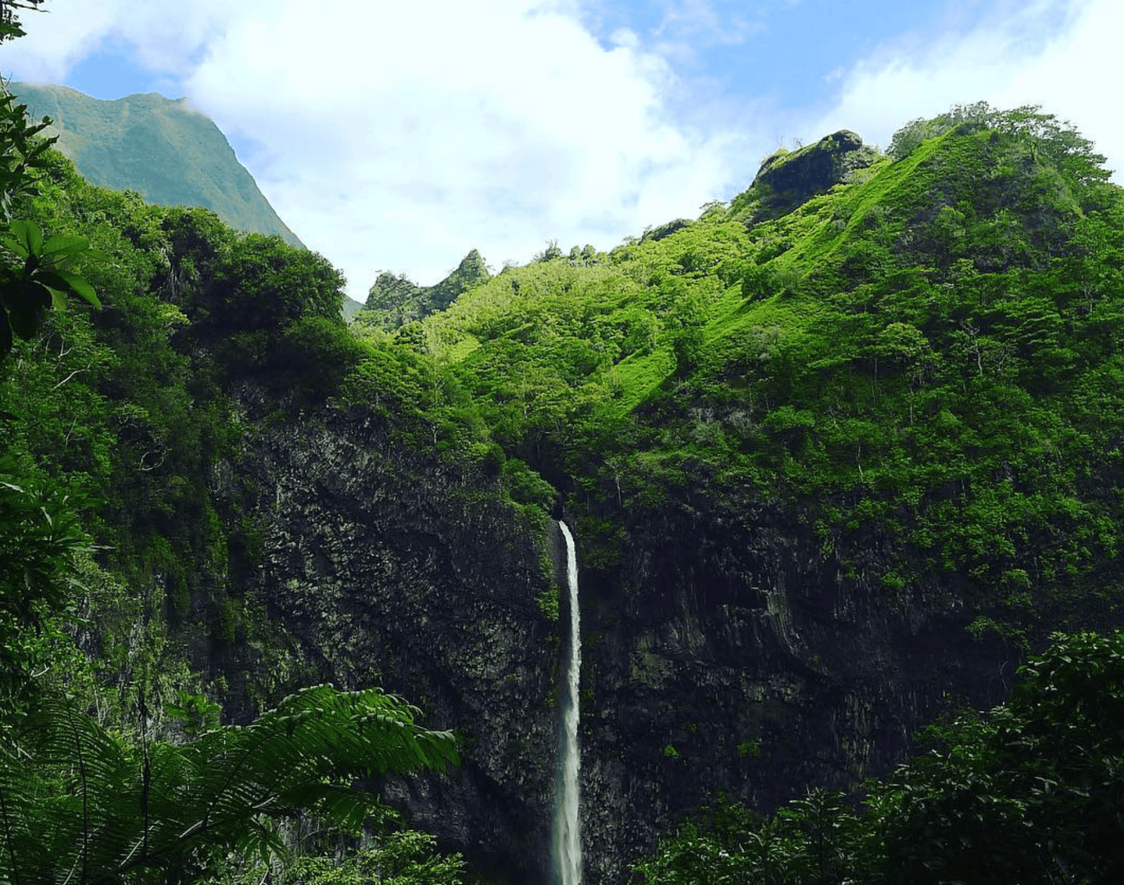 Hiking in Tahiti: What Are The Best Trails For 2026? 11 Cascade de Loti