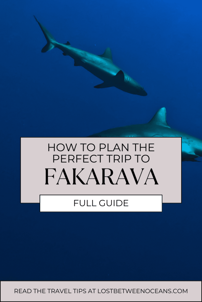 Fakarava pinterest cover