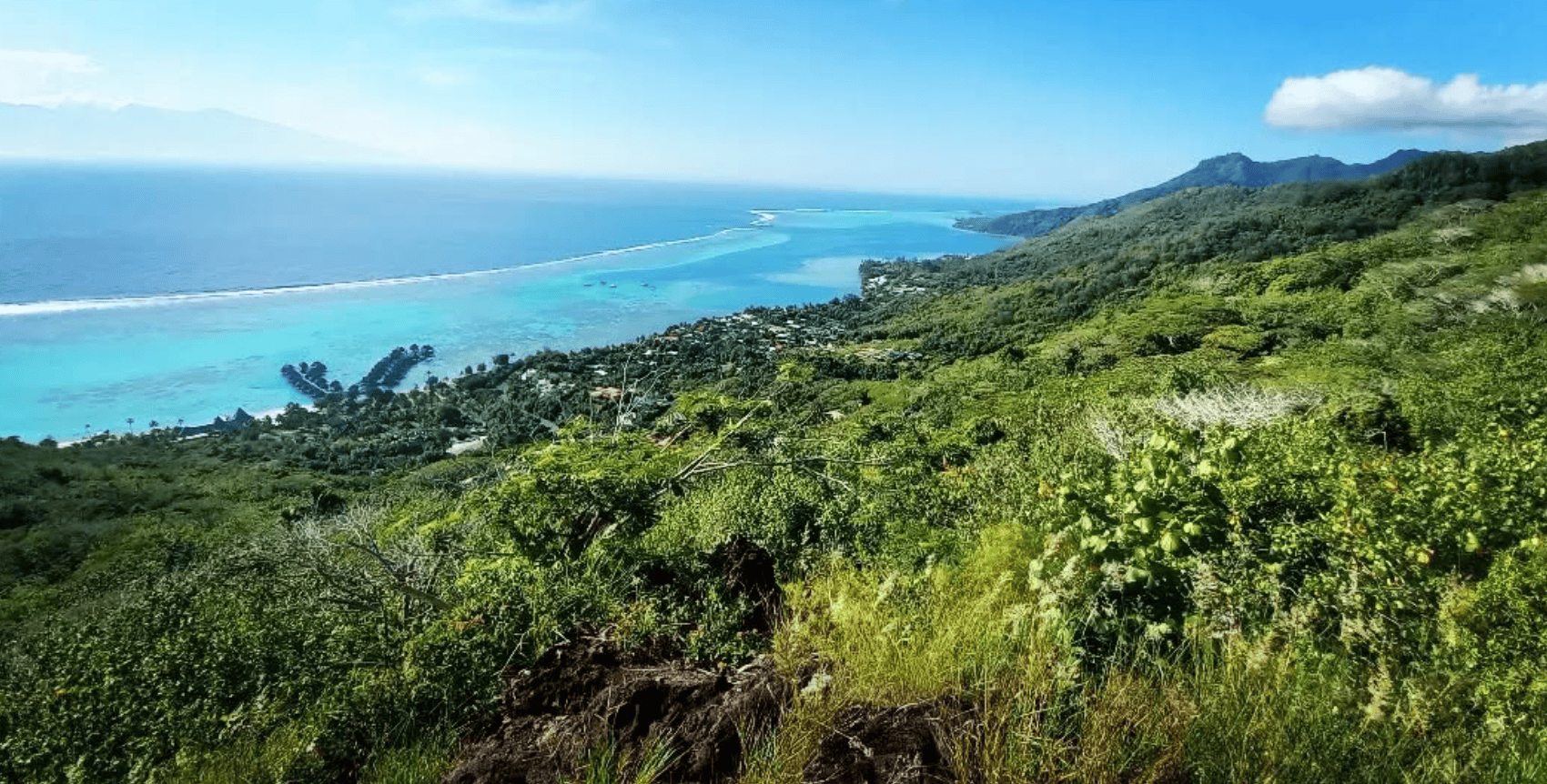 Moorea hiking: Top 10 trails to do when hiking in Moorea! 13 Paaruiti