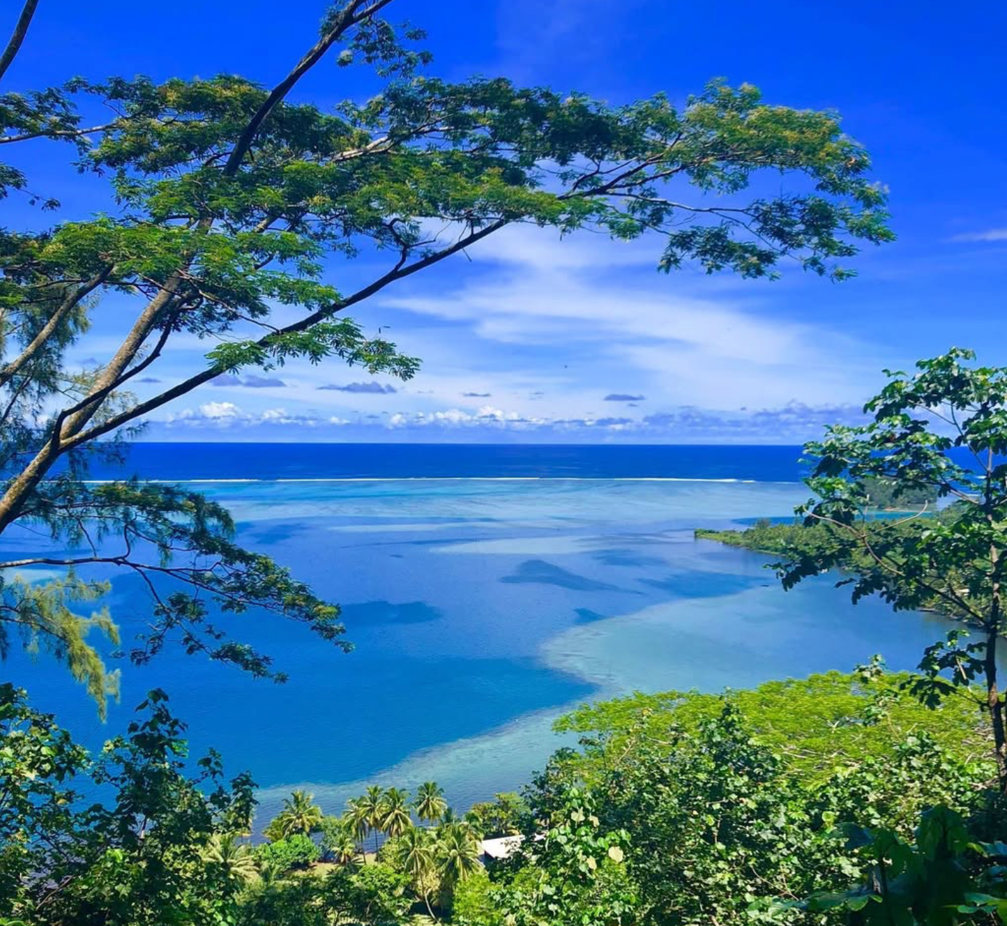 Hiking in Tahiti: What Are The Best Trails For 2026? 16 Papaiona