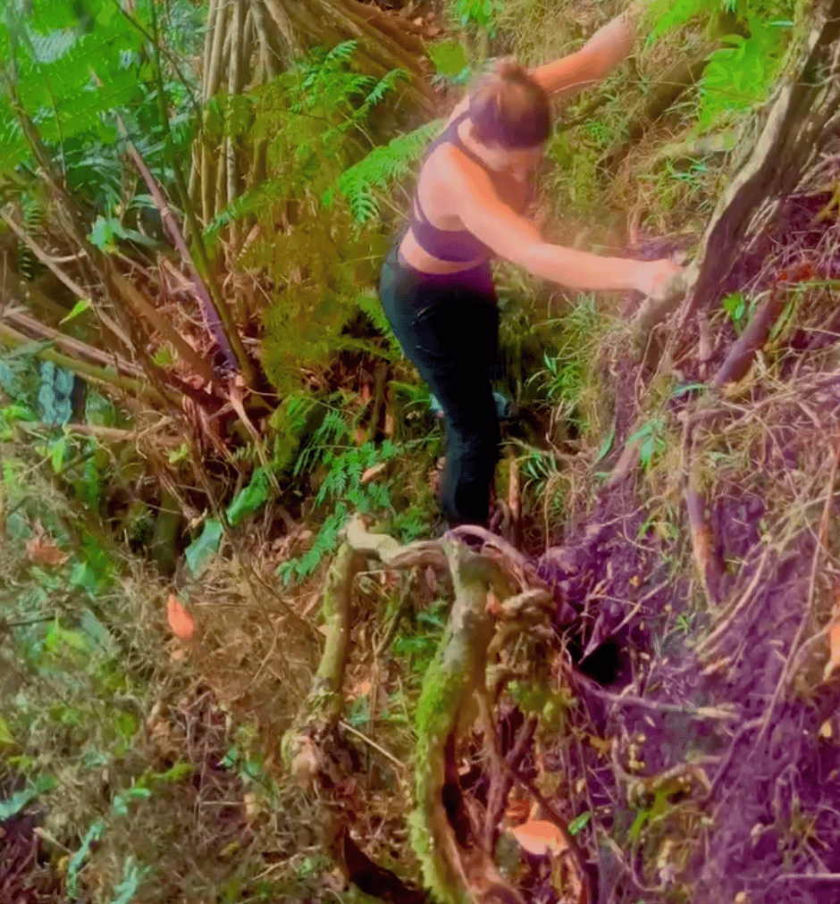 Top 8 hikes in Bora Bora: What To Expect From Them? 11 Pahia