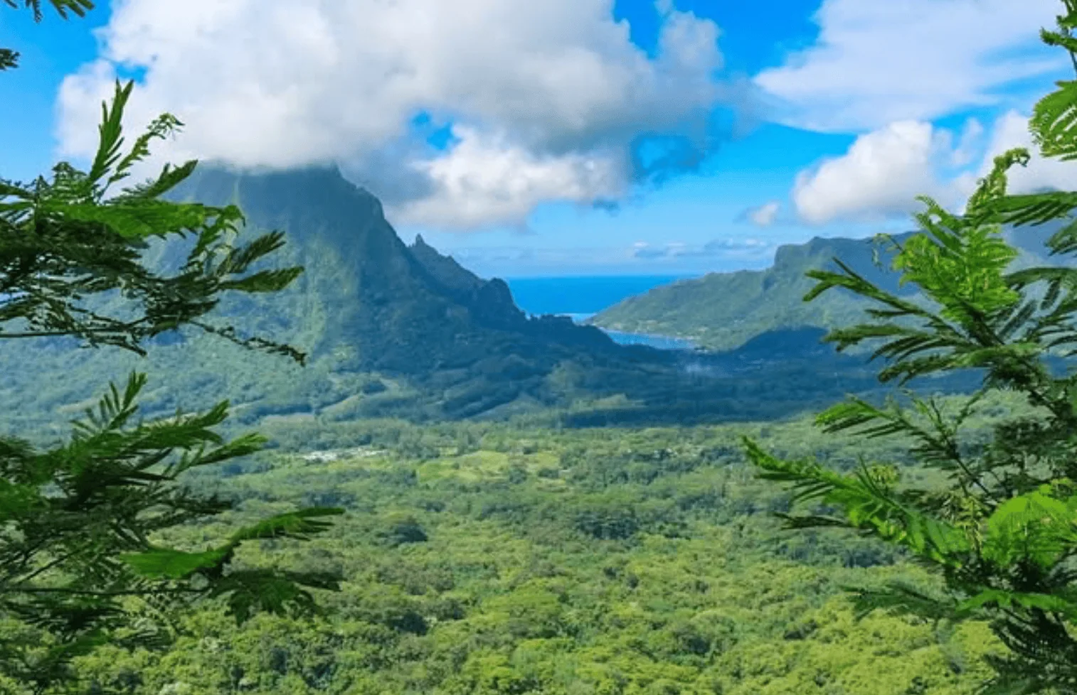 Three Coconuts Trail