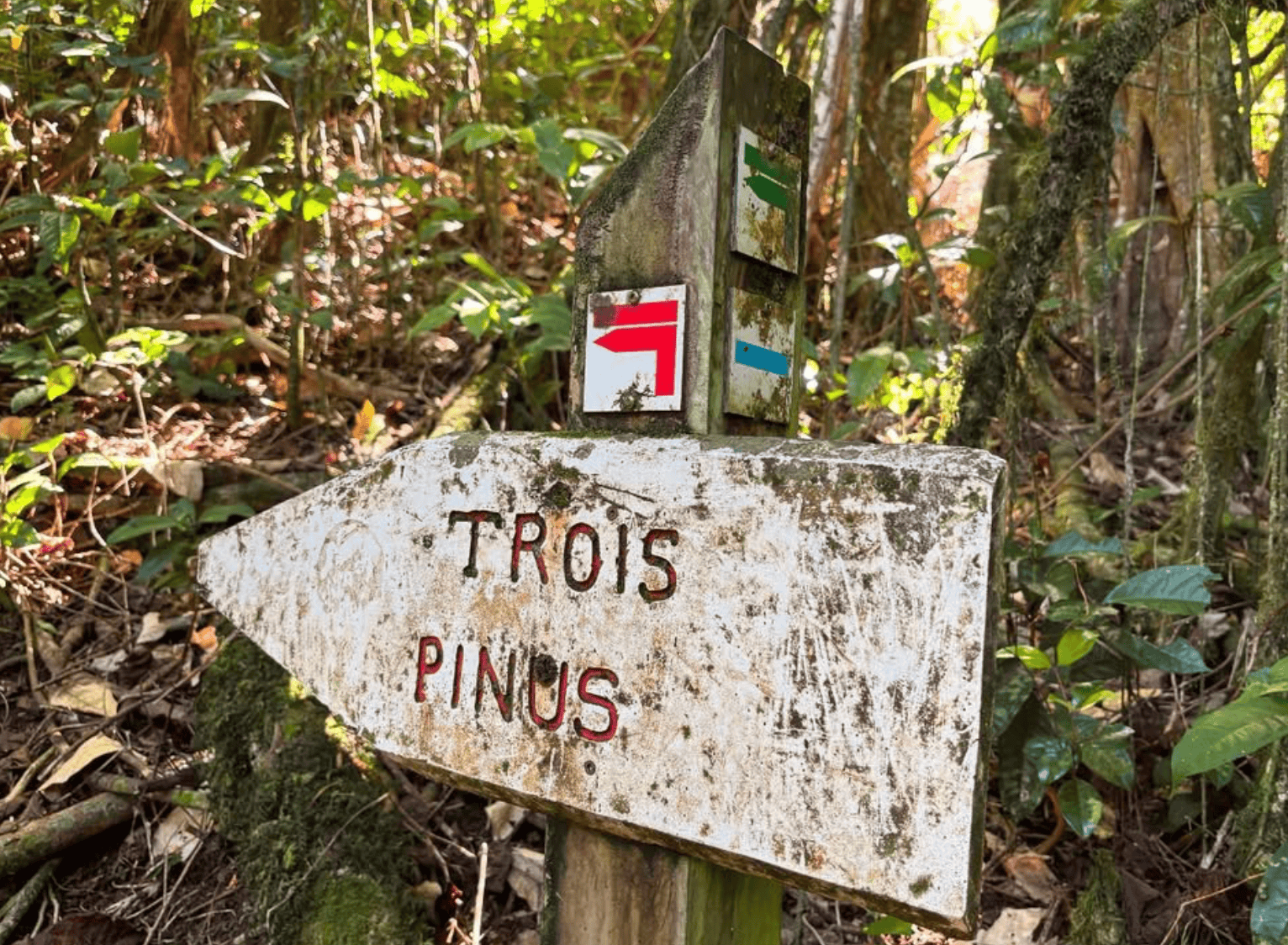 Moorea hiking: Top 10 trails to do when hiking in Moorea! 5 Three Pines Trail