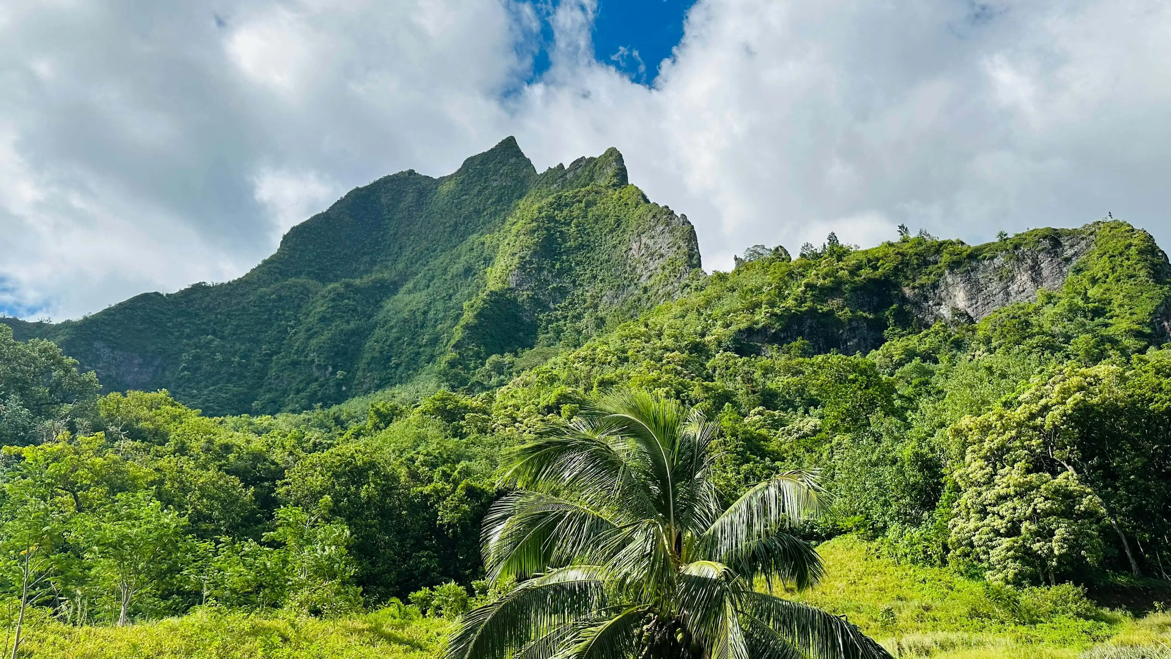 The rugged nature of Moorea island.