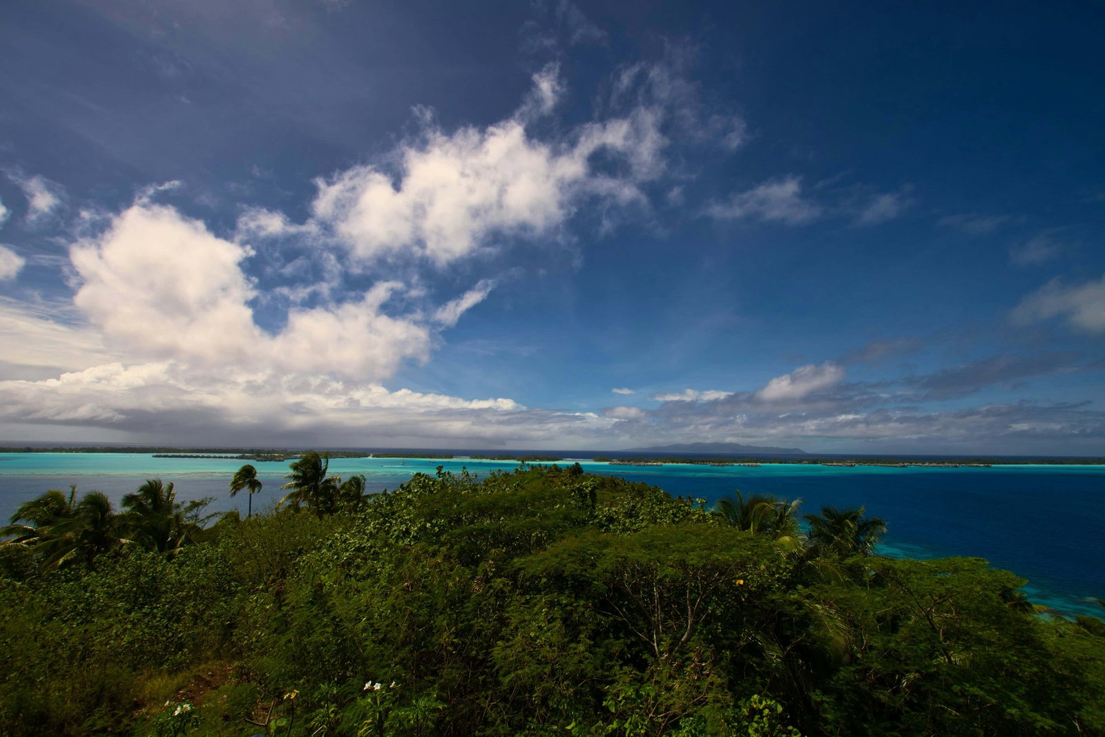 Top 8 hikes in Bora Bora: What To Expect From Them? 6 Hikes in Bora Bora with Mount Otemanu