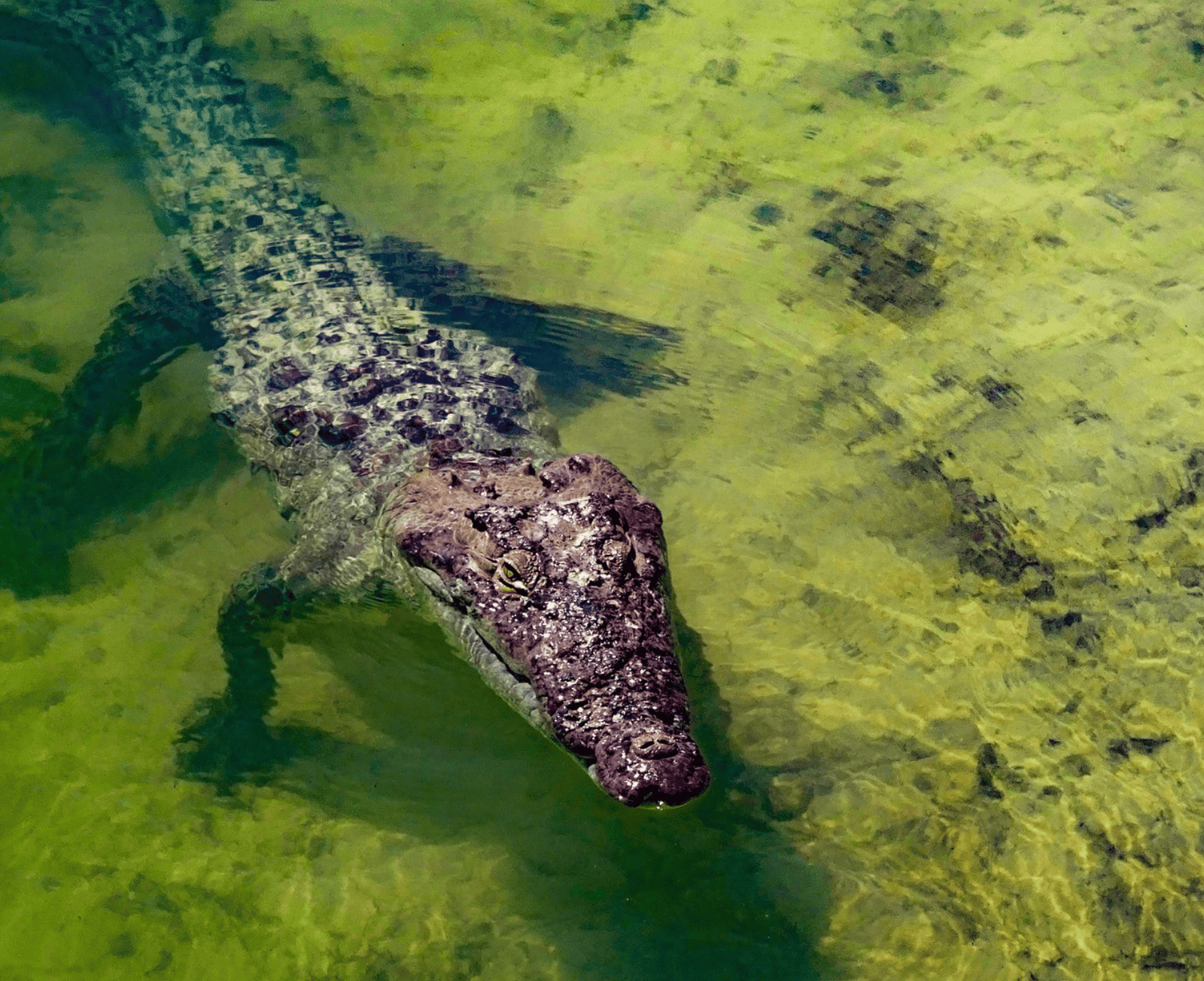 Top 20 things to do in Riviera Maya in 2026 (With Map)! 22 Sian Ka'an Biosphere Reserve