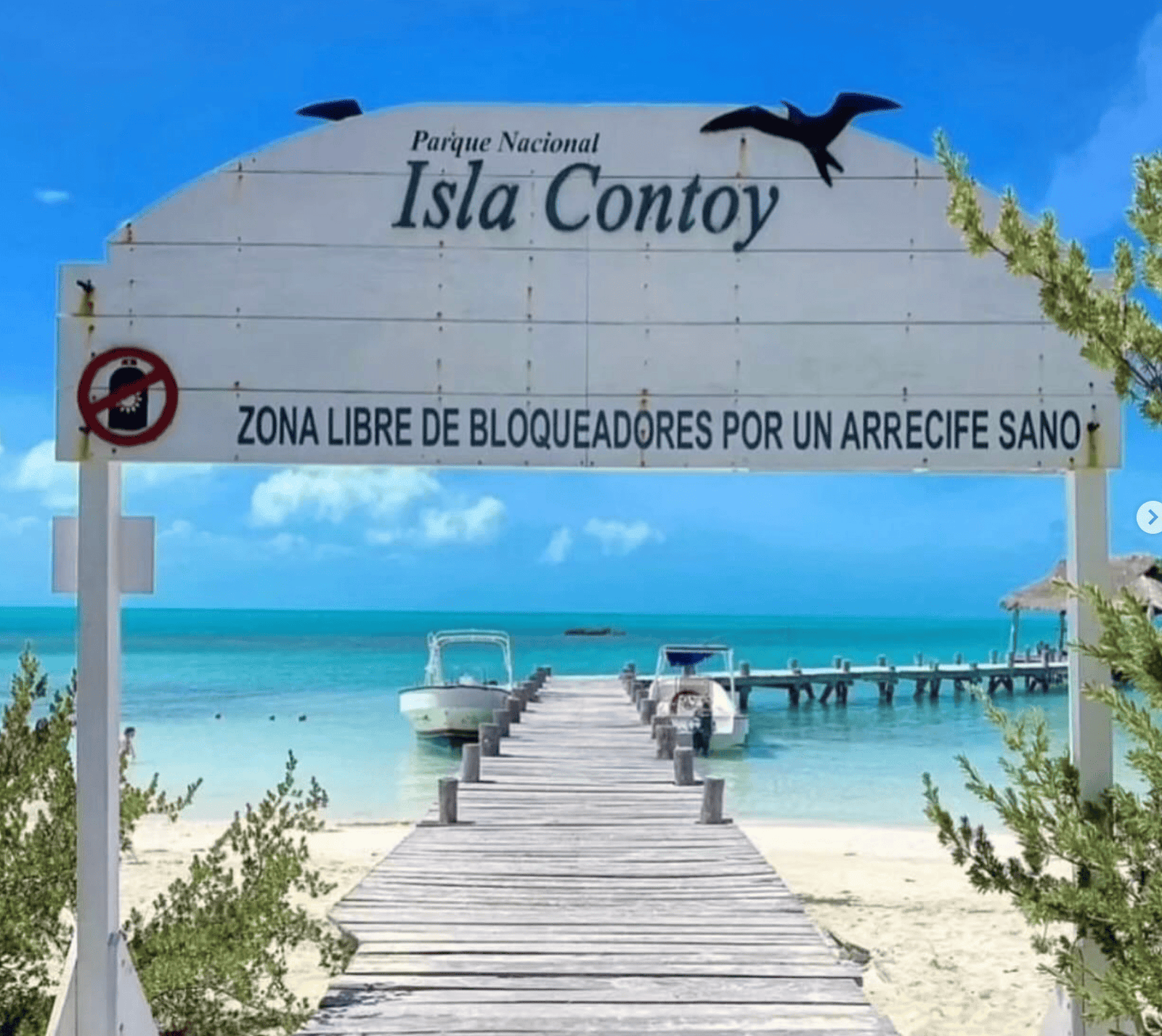 Top 20 things to do in Riviera Maya in 2026 (With Map)! 28 Isla Contoy as one of the best things to do in Riviera Maya