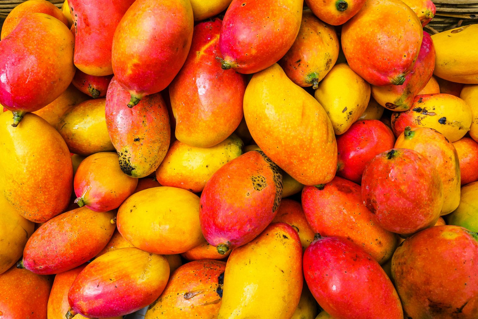 What To Do In Raiatea Island: 14 Activities! 16 Eating mango's is a what to do in marquesas islands