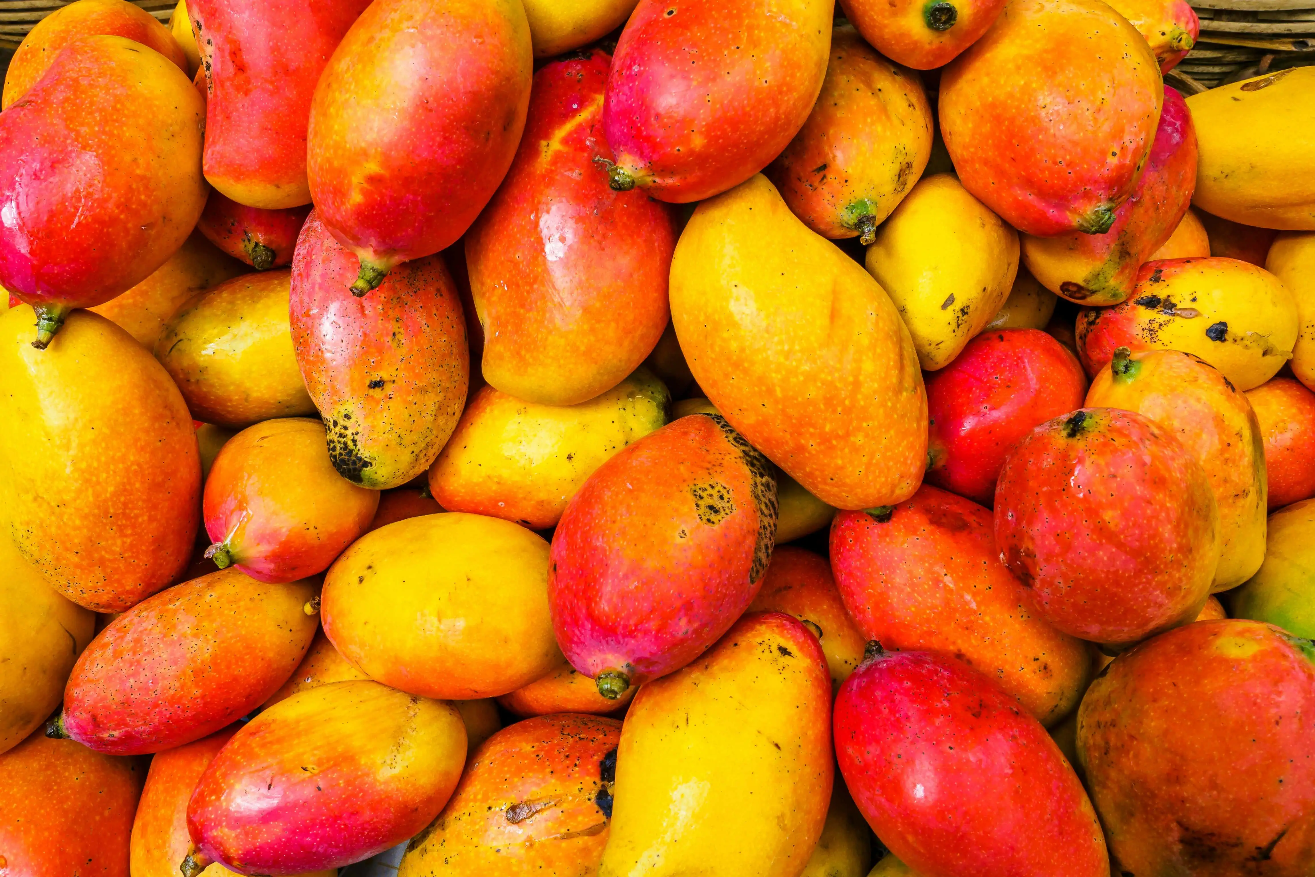 Eating mango's is a what to do in marquesas islands