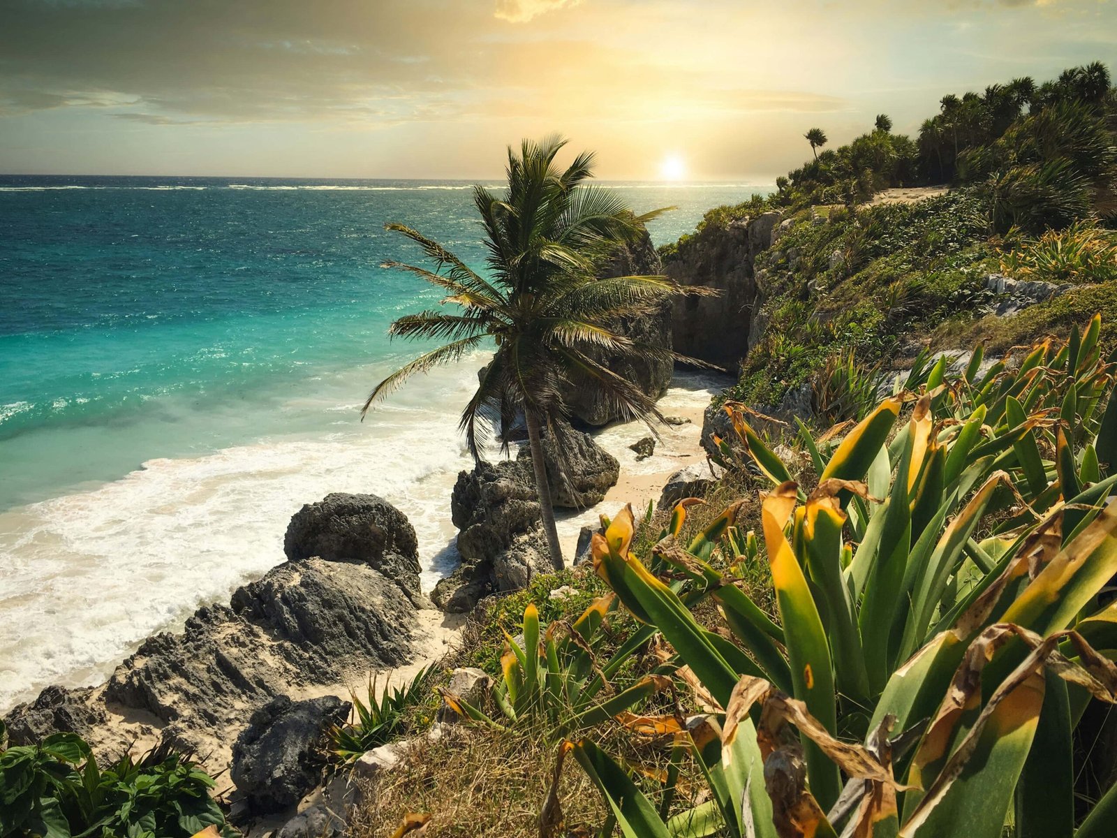 Top 20 things to do in Riviera Maya in 2026 (With Map)! 1 Riviera Maya Tulum region