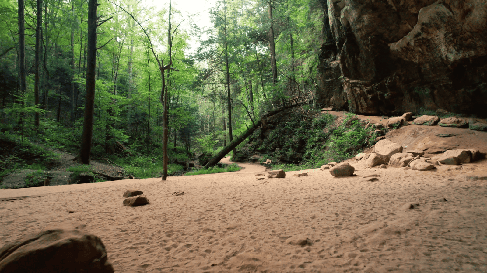 What Are The Top 17 Things To Do In Hocking Hills, Ohio? 1 walking the hocking hills trails