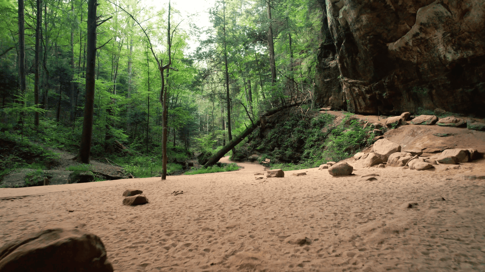What Are The Top 17 Things To Do In Hocking Hills, Ohio? 2 walking the hocking hills trails