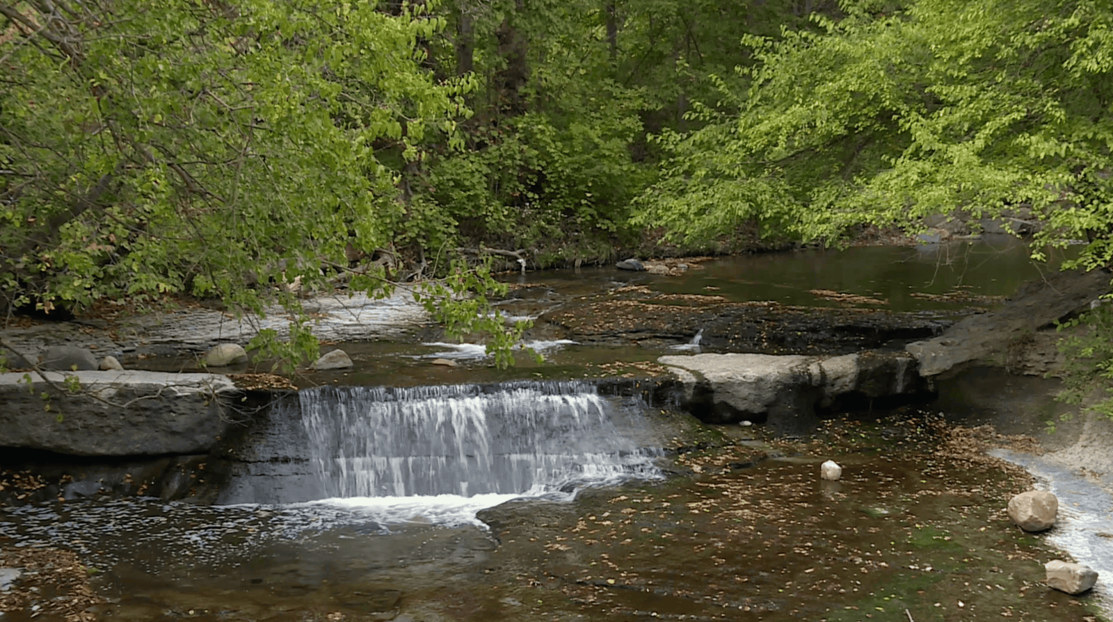 Top 6 Road Trips In Ohio For 2026 (3 - 7 Days)! 22 Cuyahoga Valley National Park