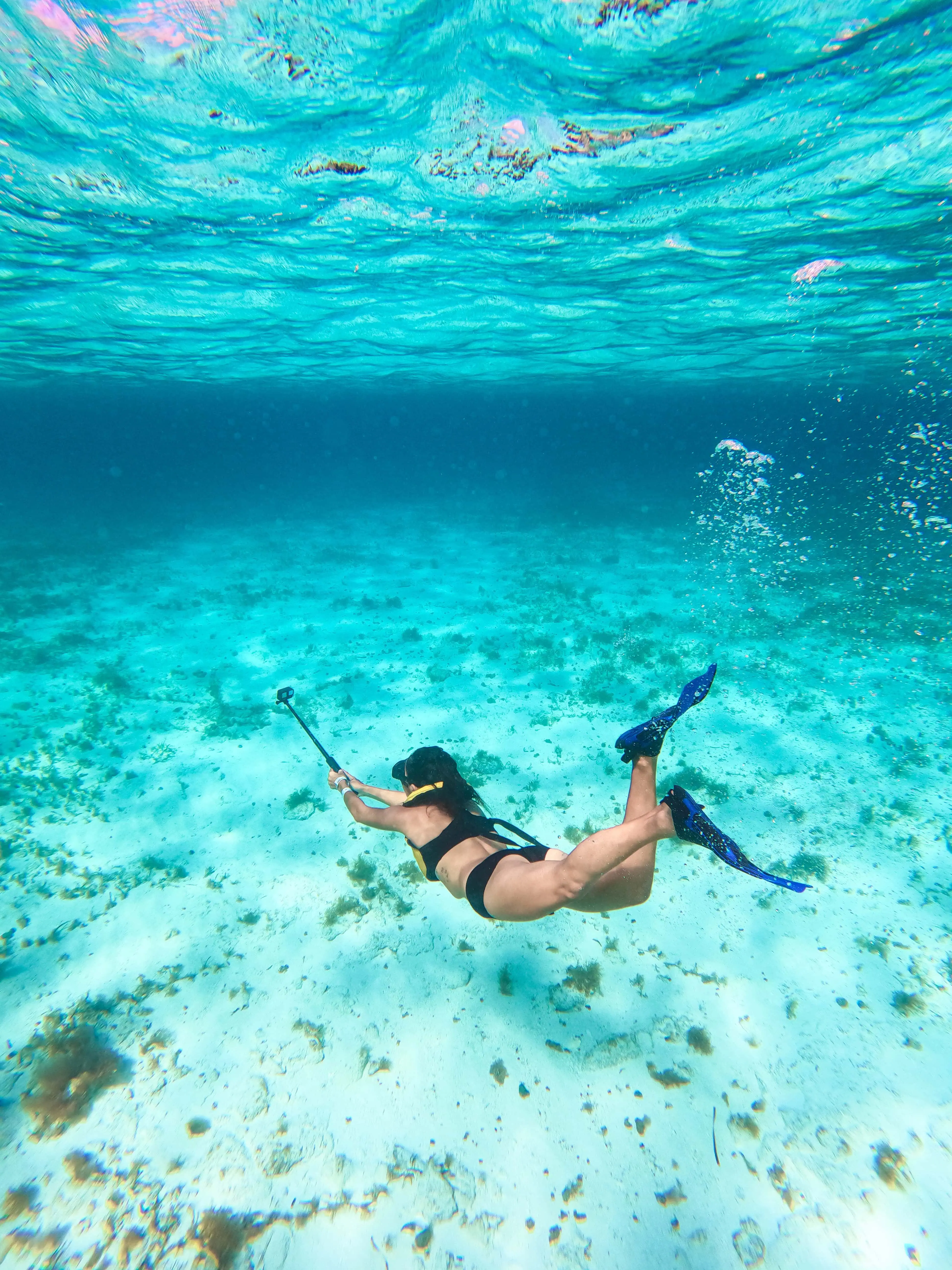 Snorkeling in Cozumel on the Palancar Reef